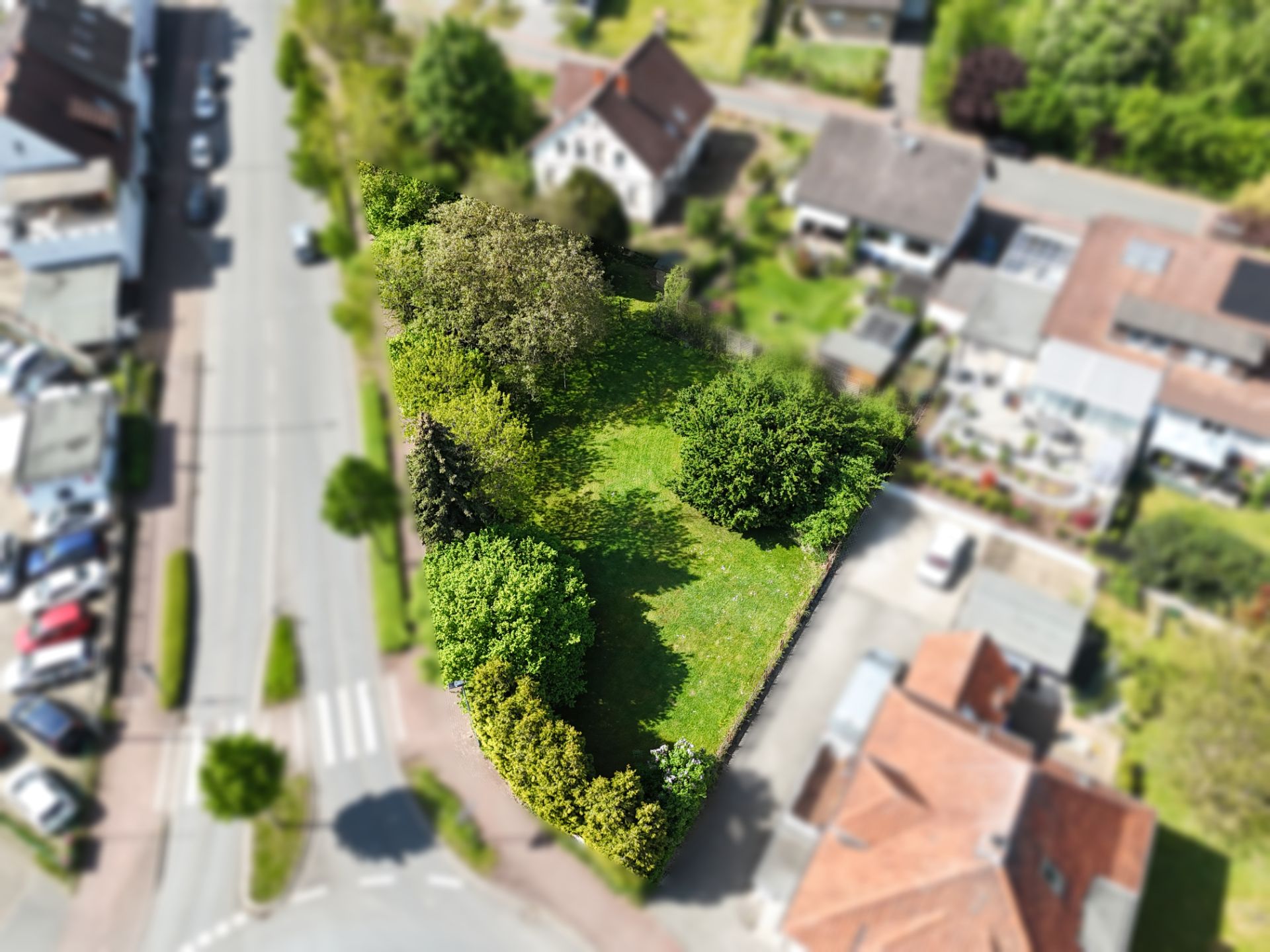 Luftaufnahme eines begrünten Gartengrundstücks zwischen Wohnhäusern an einer Straße.