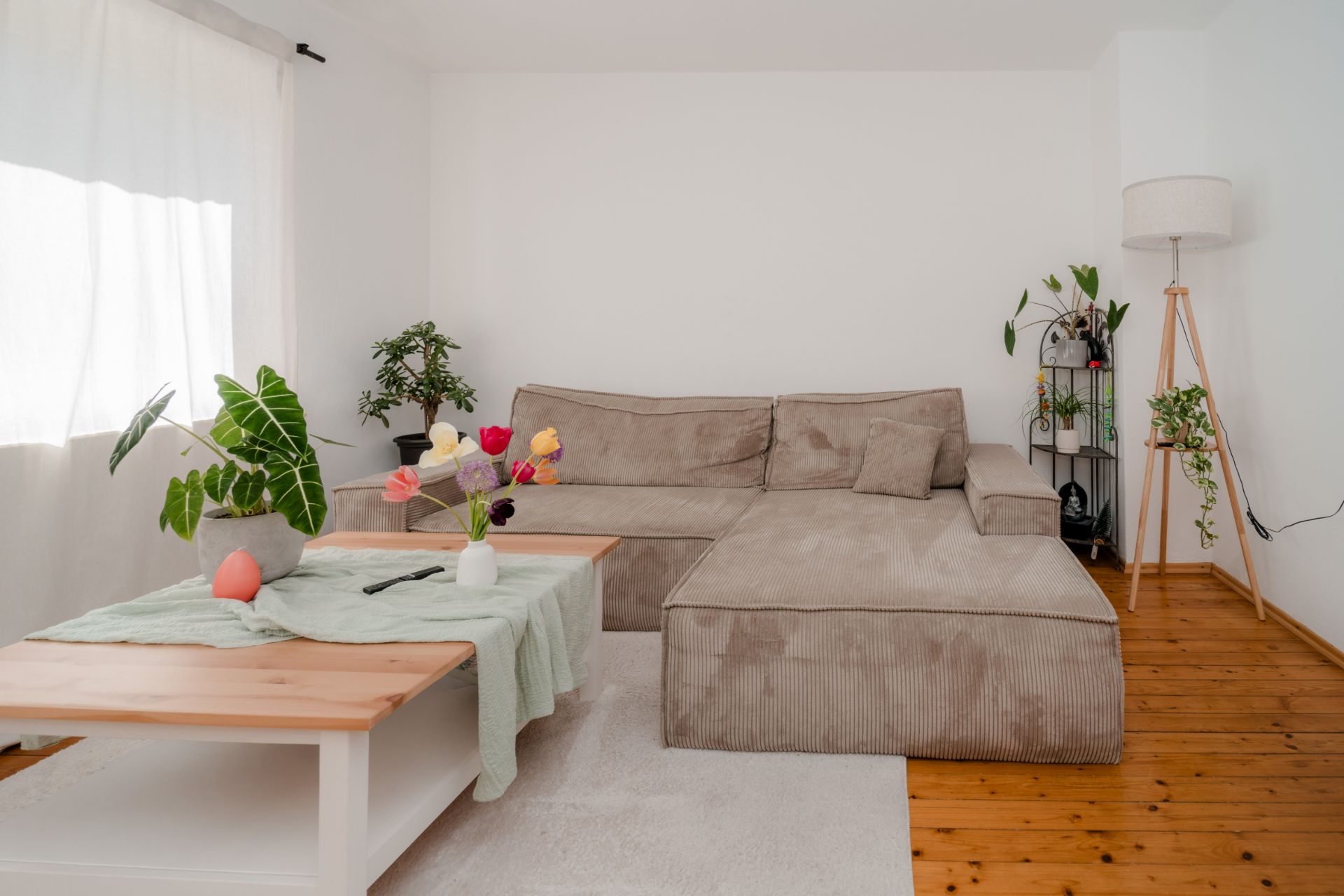 Wohnzimmer mit beigem Sofa, Couchtisch, Blumen, Pflanzen und Stehlampe auf Holzboden.