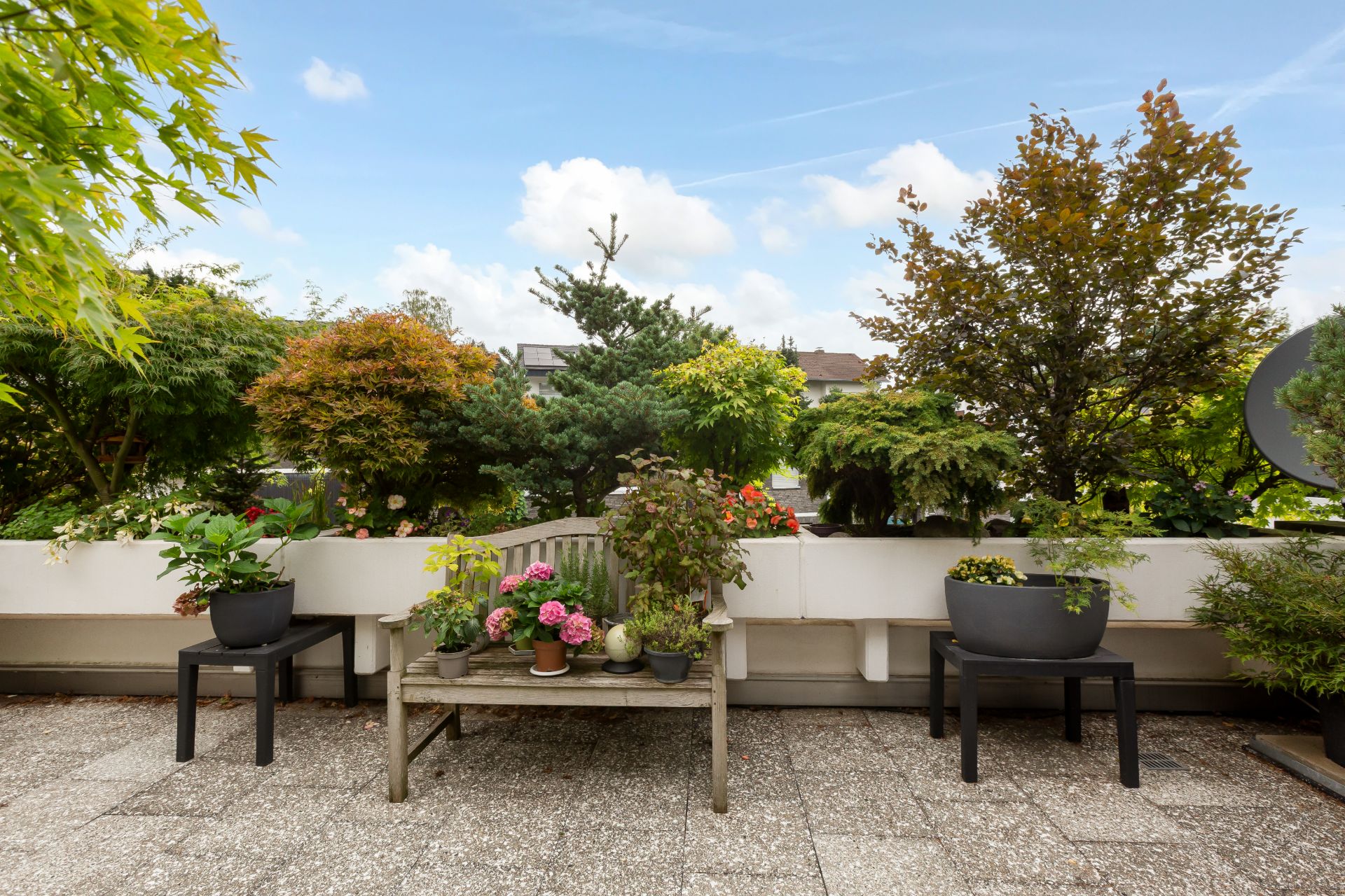 Große Terrasse mit Bank, Pflanzen und Bäumen, umgeben von grünem Bewuchs.