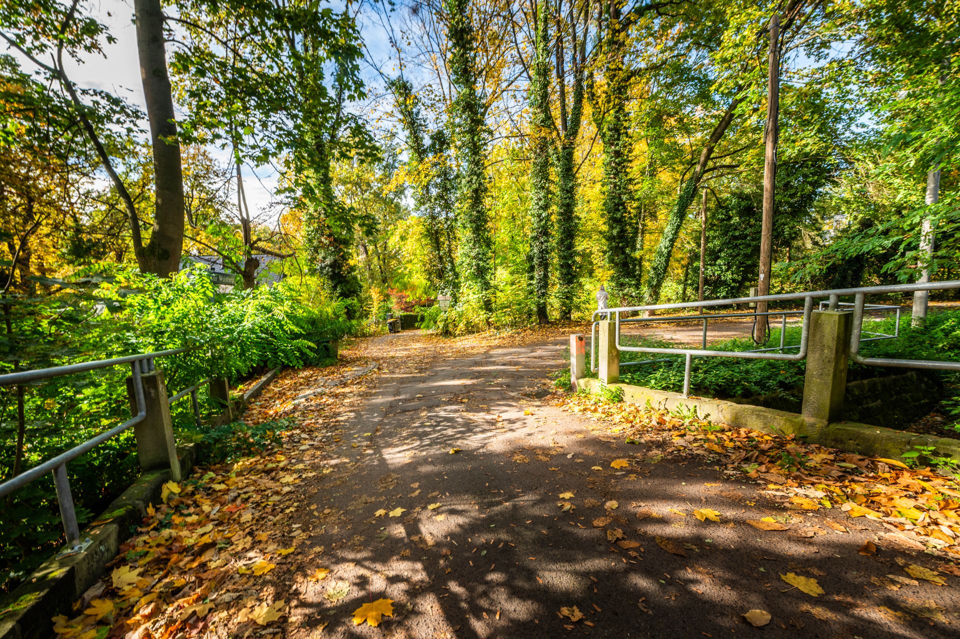Weg im Grünen mit herbstlichen Blättern und Geländern an beiden Seiten.