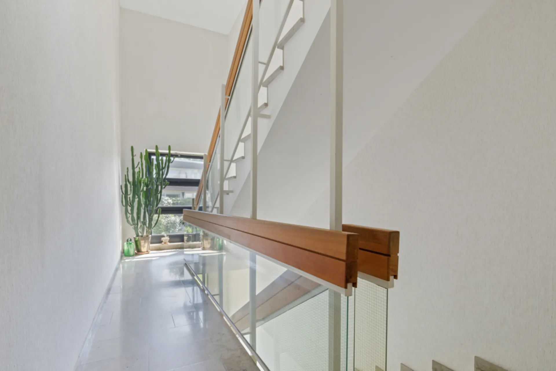 Heller Flur mit Glasgeländer, großem Kaktus und Fenster am Ende.