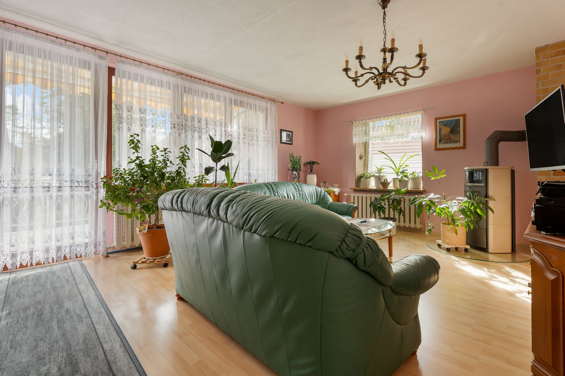 Wohnzimmer mit grüner Ledercouch, vielen Zimmerpflanzen, großem Fenster und Kronleuchter.