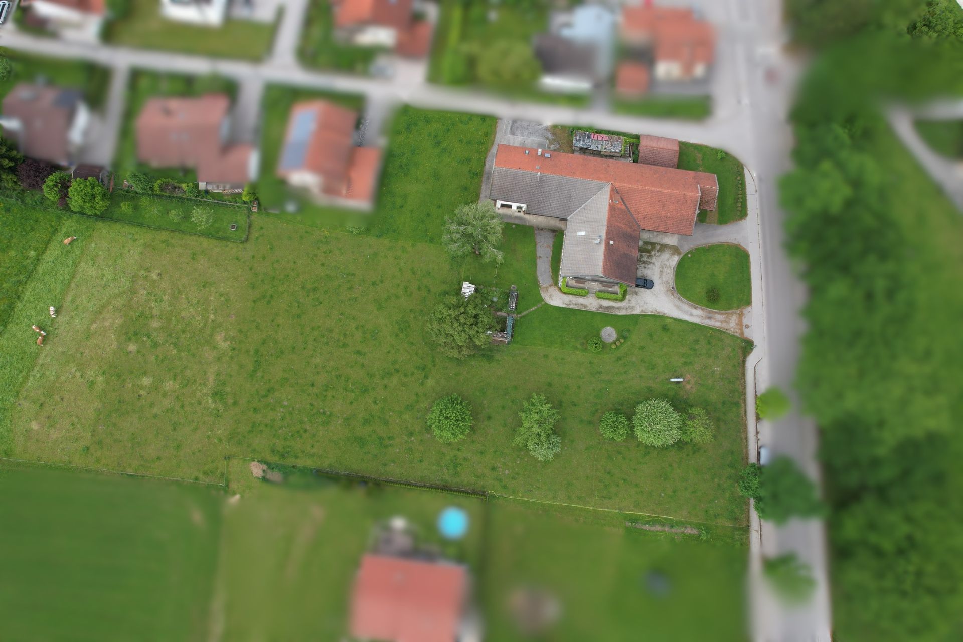 Luftaufnahme eines Hauses mit großem Garten und Bäumen, umgeben von Straßen und weiteren Häusern.