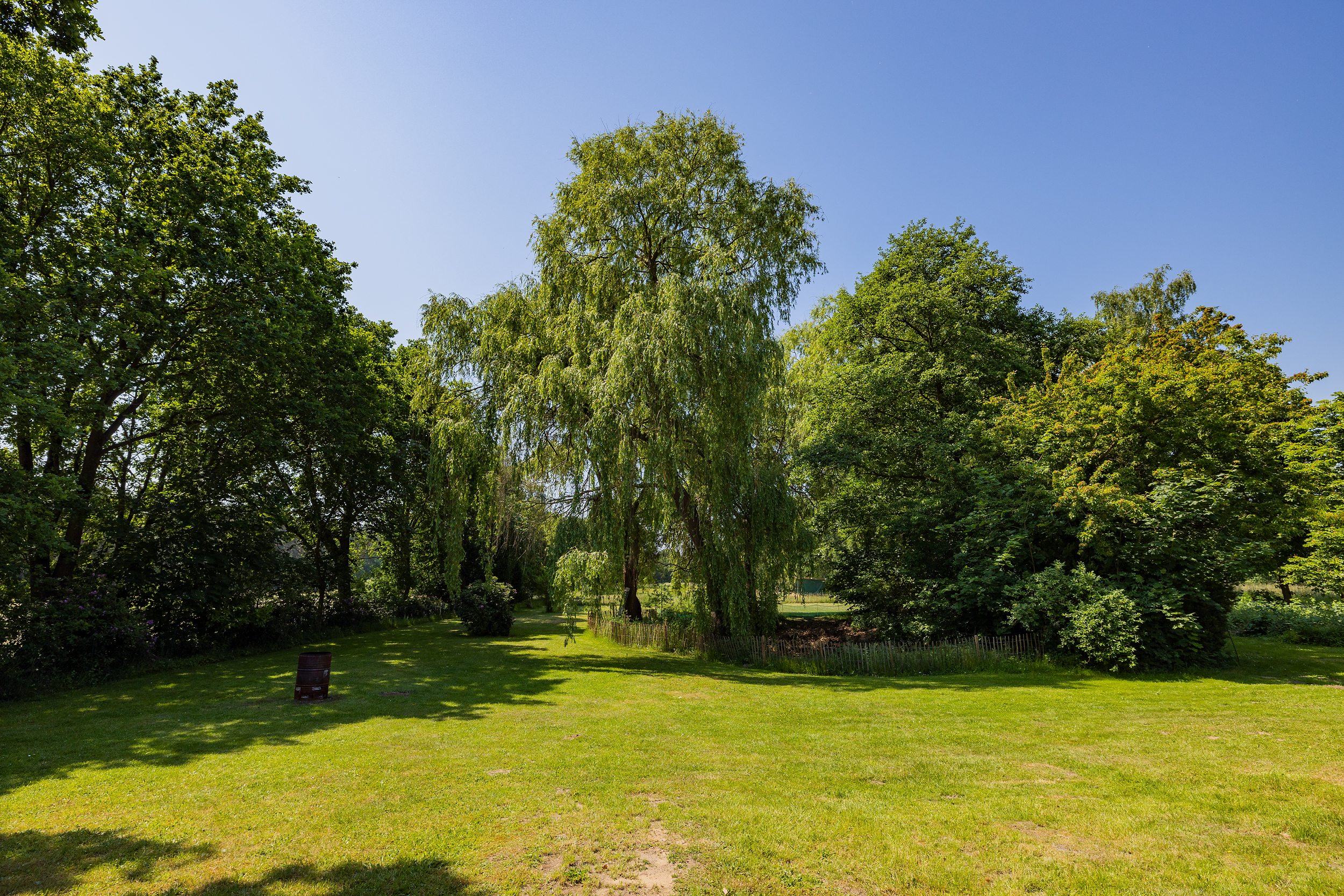 Großer Garten mit Rasenfläche und mehreren großen Bäumen bei sonnigem Wetter.