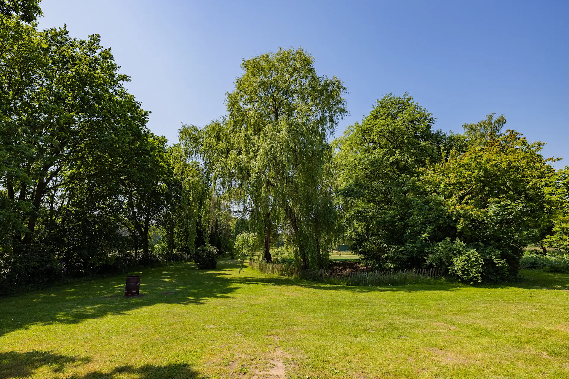 Großer Garten mit Rasenfläche und mehreren großen Bäumen bei sonnigem Wetter.