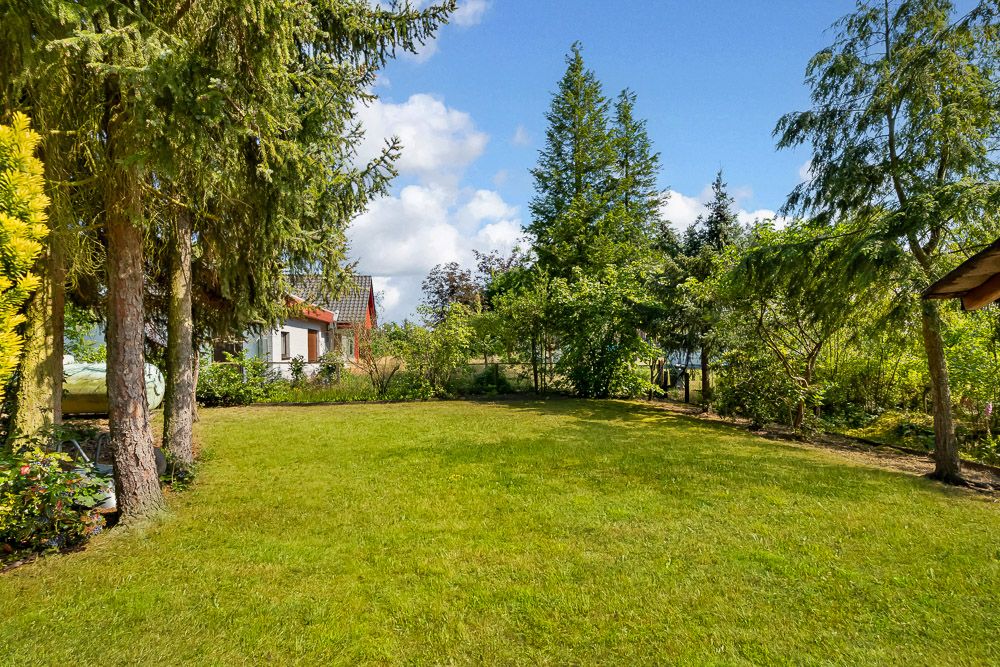 Grüner Garten mit Rasenfläche, Bäumen und Blick auf ein Einfamilienhaus im Hintergrund.