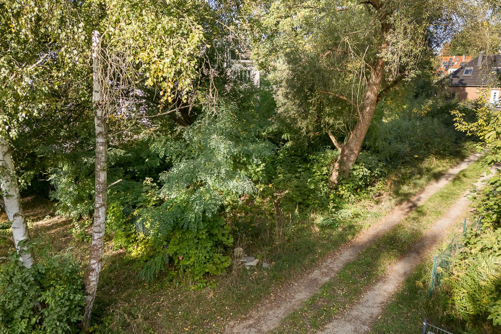 Ein schmaler Weg führt durch einen Garten mit vielen Bäumen und Sträuchern.