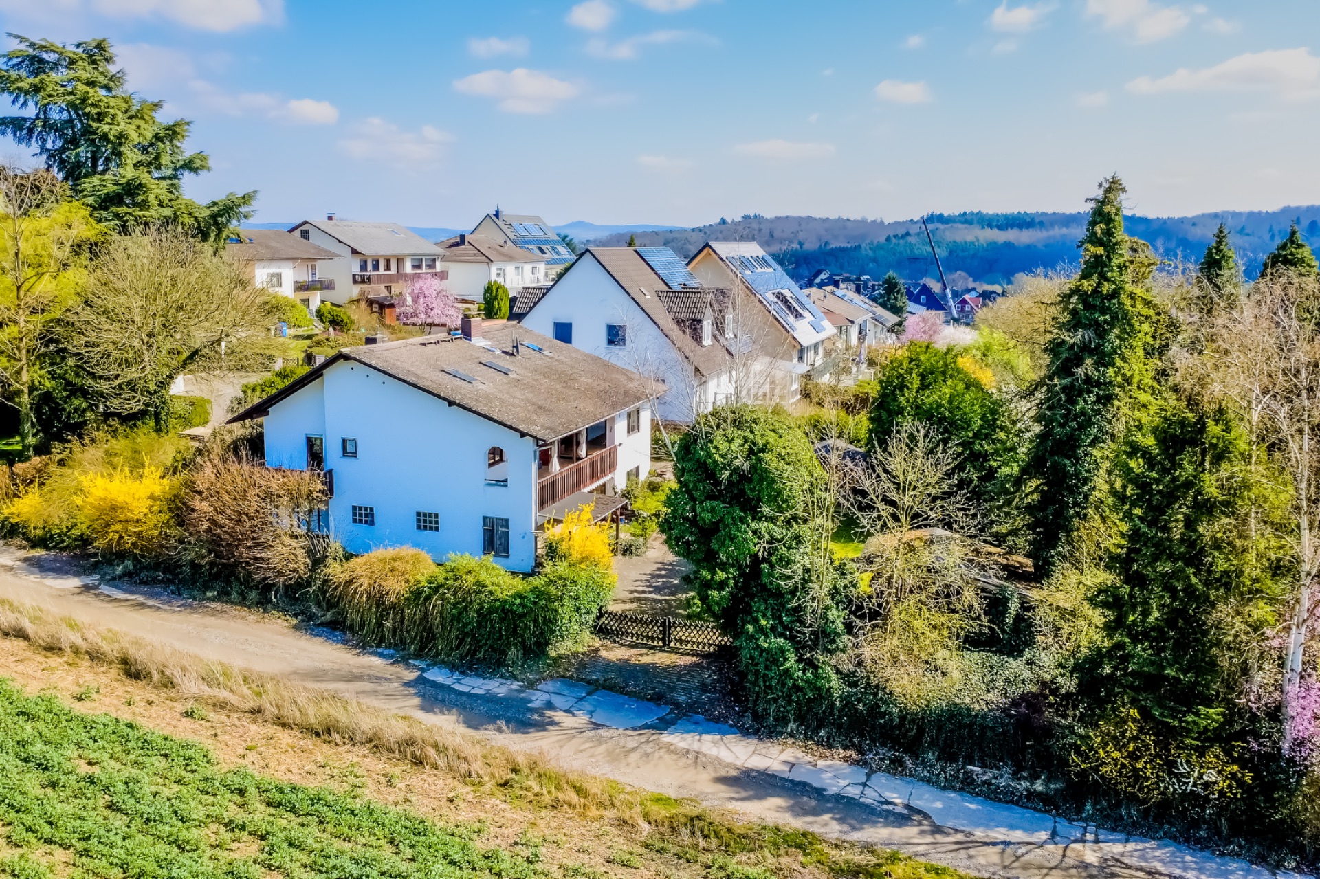 Weißes Wohnhaus mit Garten, umgeben von Bäumen und Nachbarhäusern an einem sonnigen Tag.