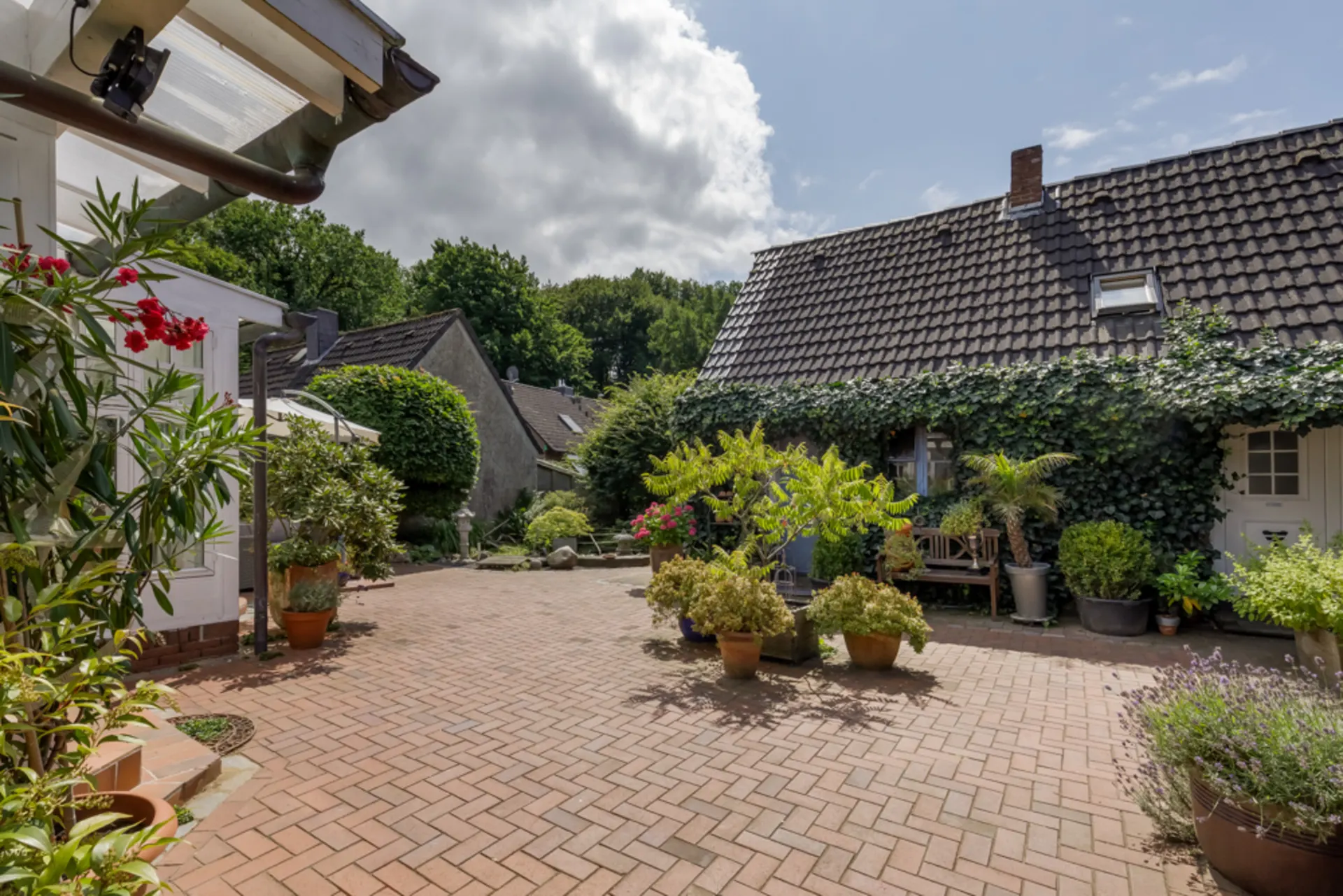 Gepflasterter Innenhof mit vielen Pflanzen in Töpfen und einem Haus mit Efeubewachsener Fassade.