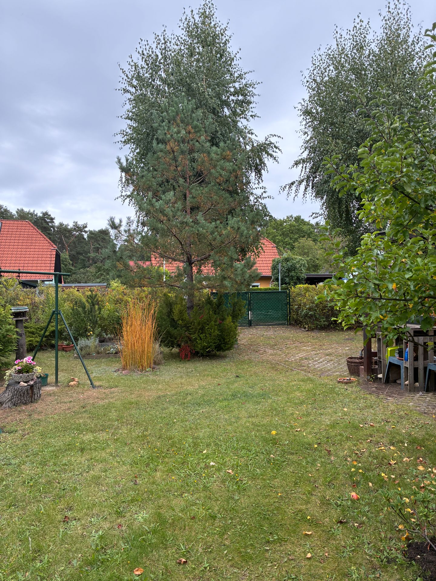 Garten mit Bäumen, Rasenfläche, Sträuchern und Sitzbereich unter einem Baum.