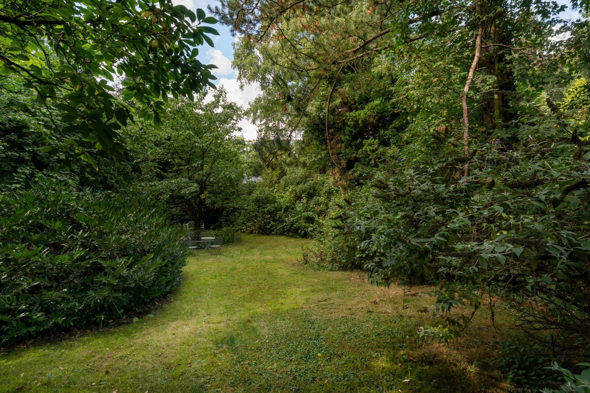 Grüner Garten mit Rasenfläche, umgeben von Bäumen und Büschen, Gartenmöbel im Hintergrund.