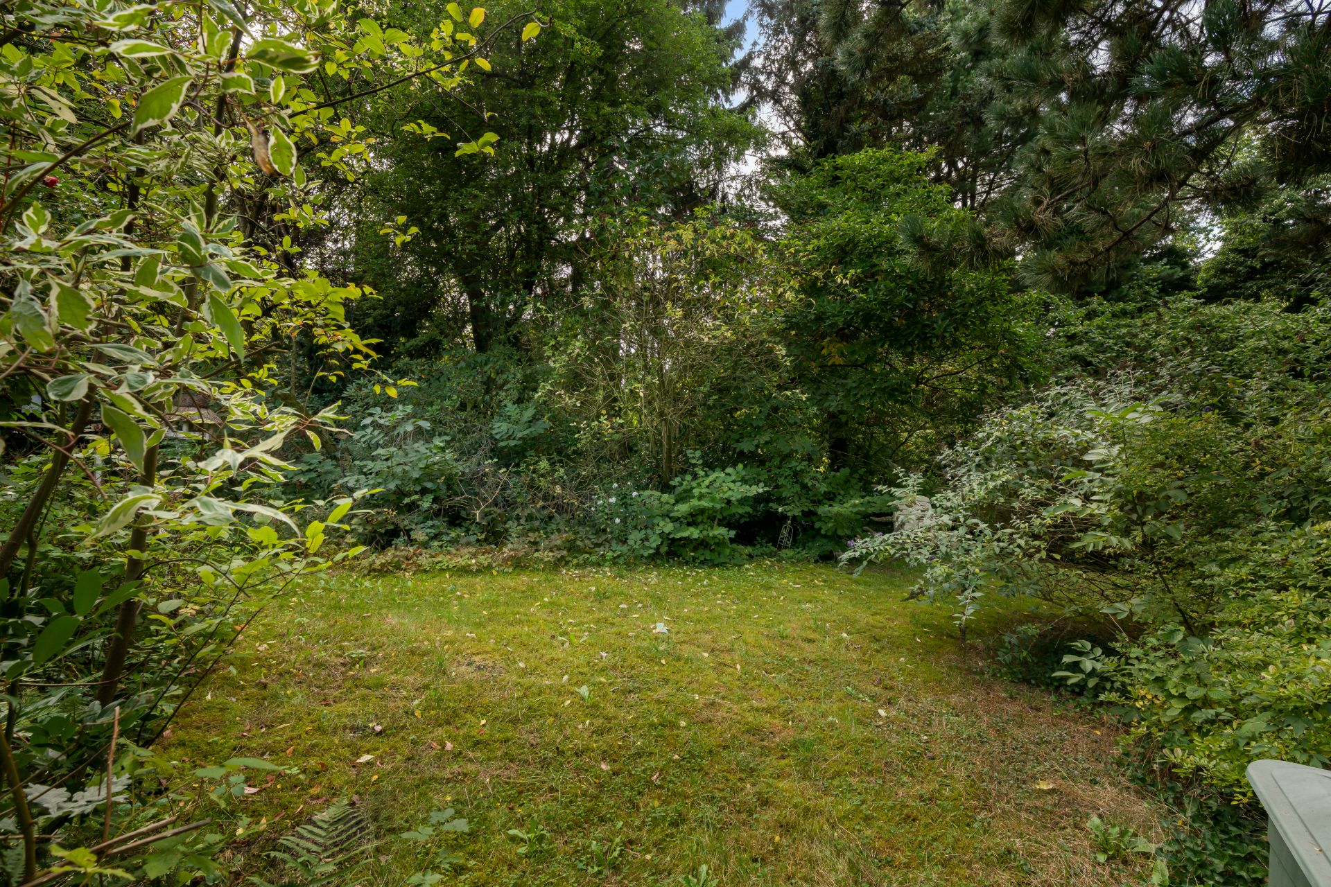 Grüne Wiese im Garten mit dichter Bepflanzung und Bäumen im Hintergrund.