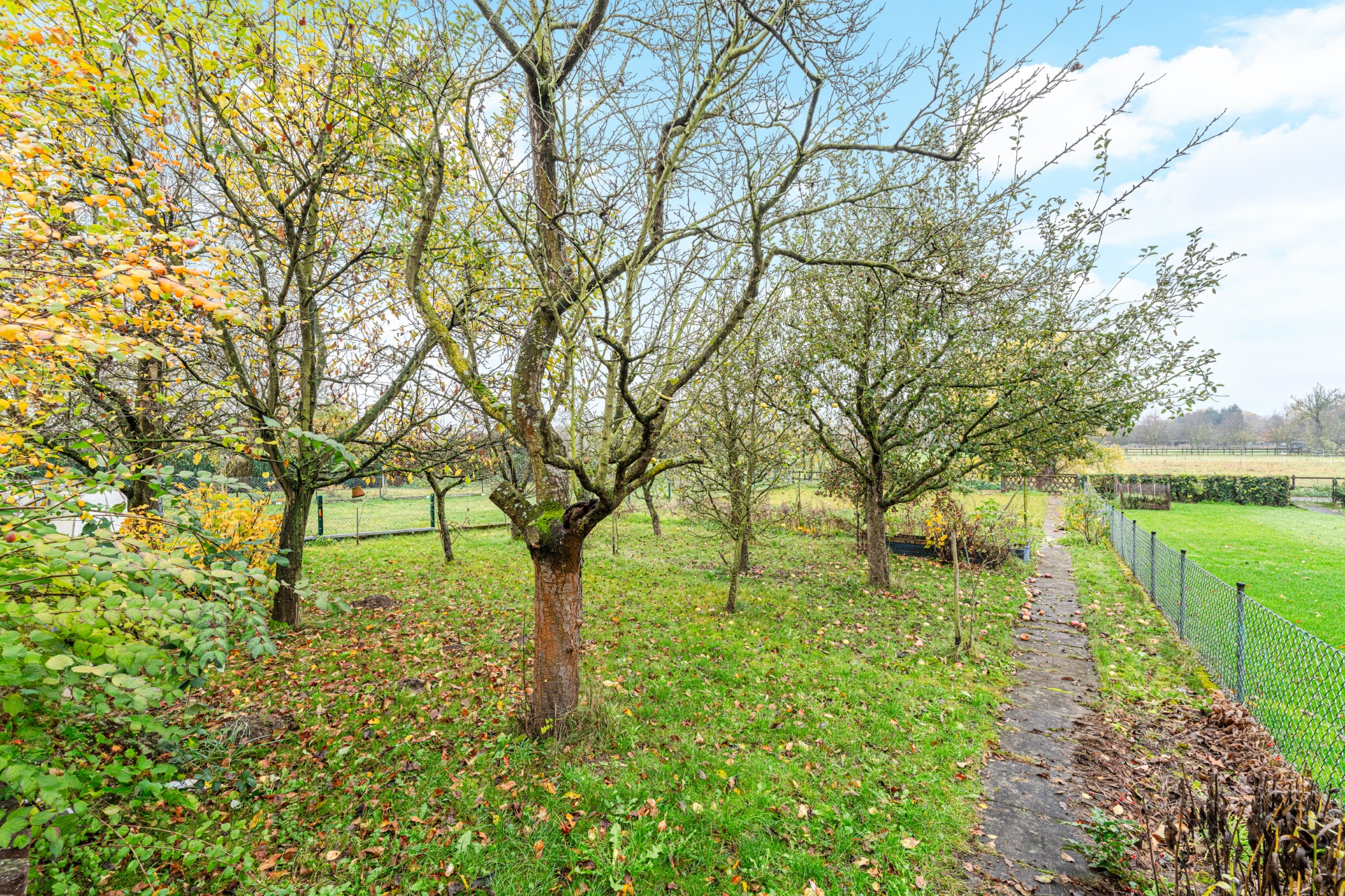 Garten mit mehreren Bäumen, grünem Rasen und schmalem Gehweg entlang eines Zauns.