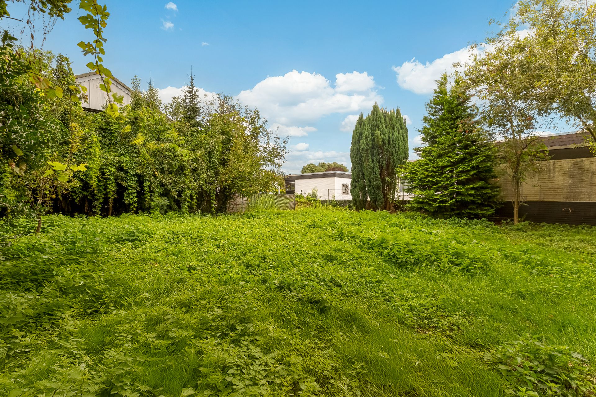 Grüner Garten mit hohem Gras, Bäumen und Sträuchern, umgeben von Zäunen und Gebäuden.
