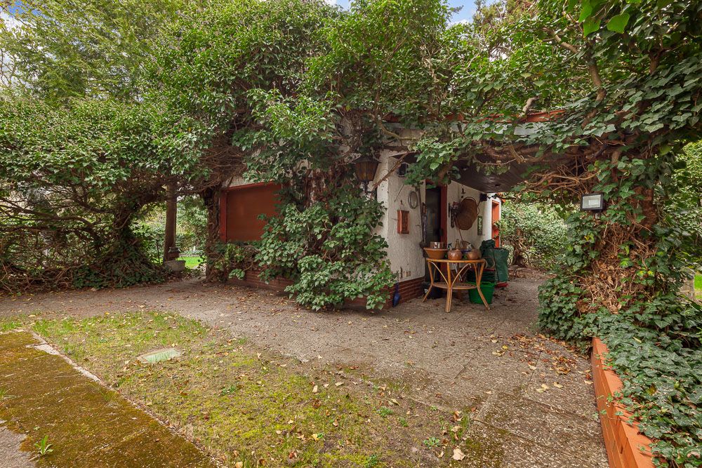 Kleines Haus mit Terrasse, von vielen grünen Pflanzen und Kletterpflanzen umgeben.
