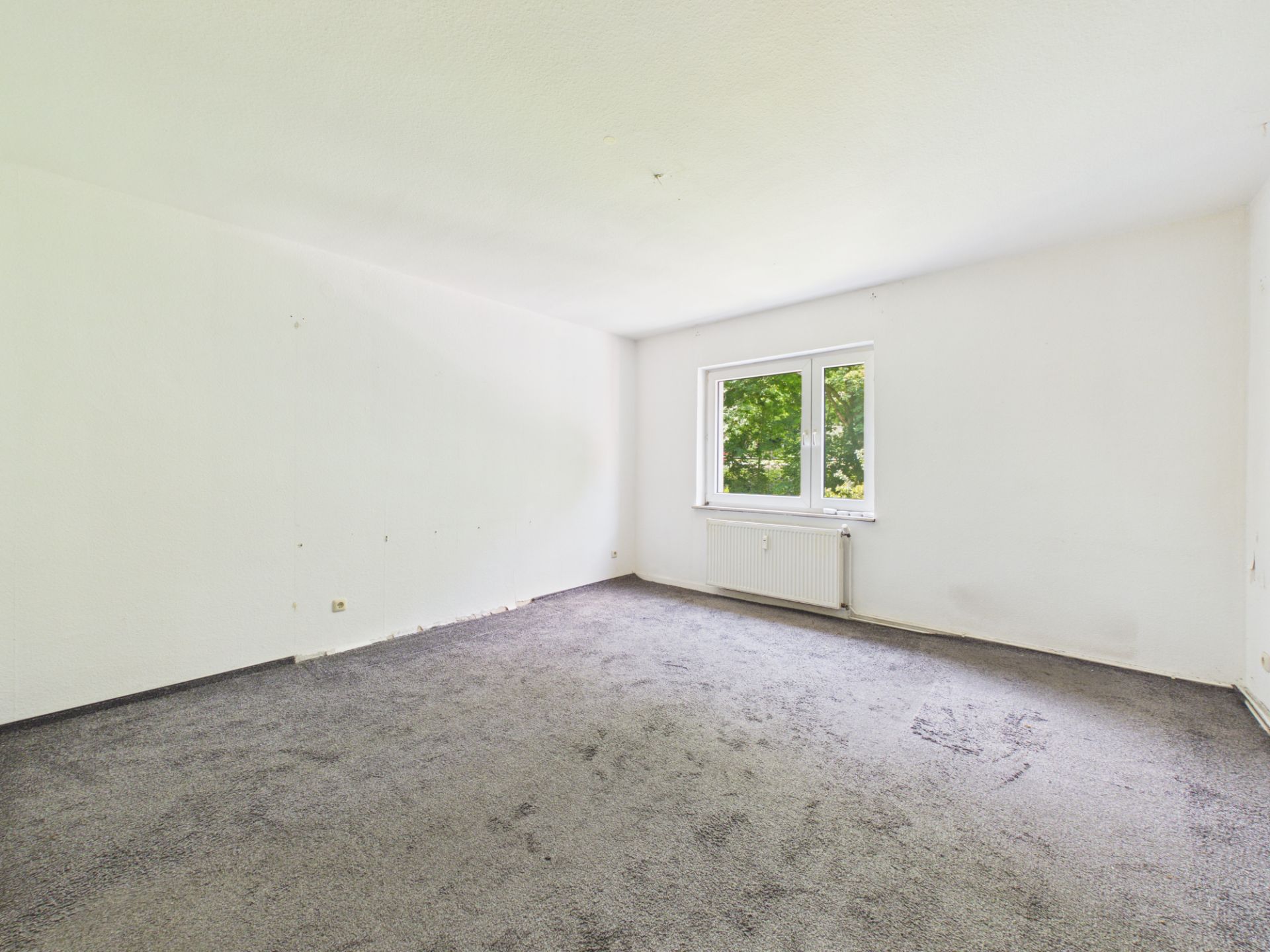 Leeres Zimmer mit grauem Teppichboden, weißen Wänden und einem Fenster mit Blick ins Grüne.