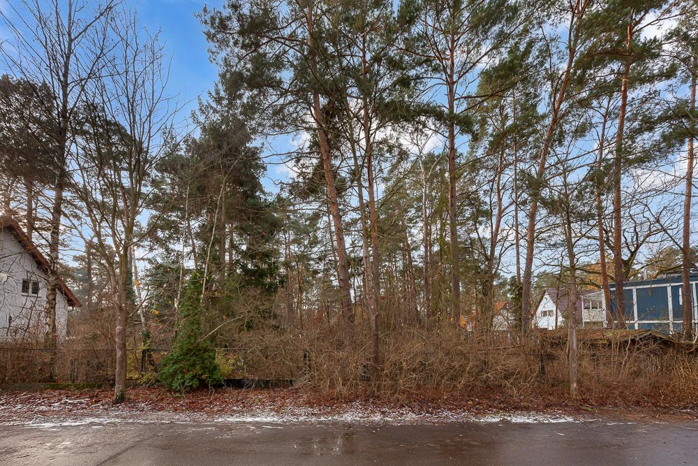 Verschneite Straße vor einem Grundstück mit hohen Bäumen und einigen Häusern im Hintergrund.