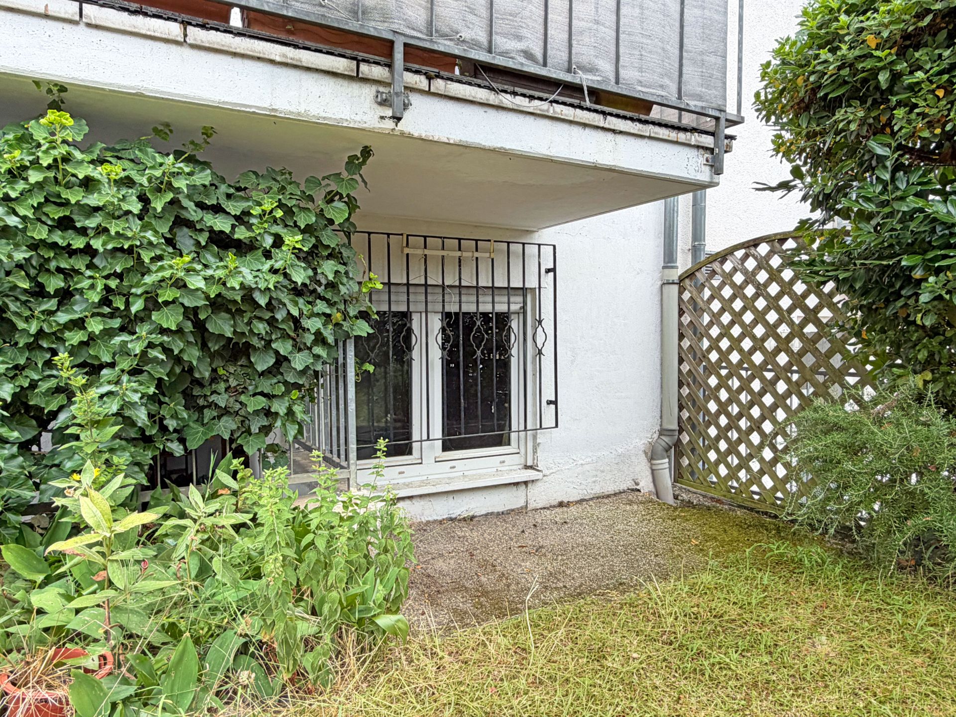 Kellergeschossfenster mit Gitter, umgeben von Pflanzen und einem Gitterzaun im Gartenbereich.