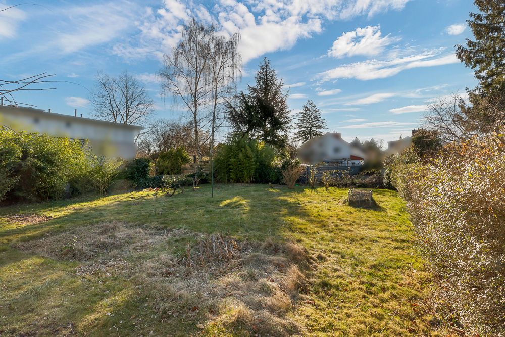Großer Garten mit Rasenfläche, Büschen und Bäumen bei sonnigem Wetter.
