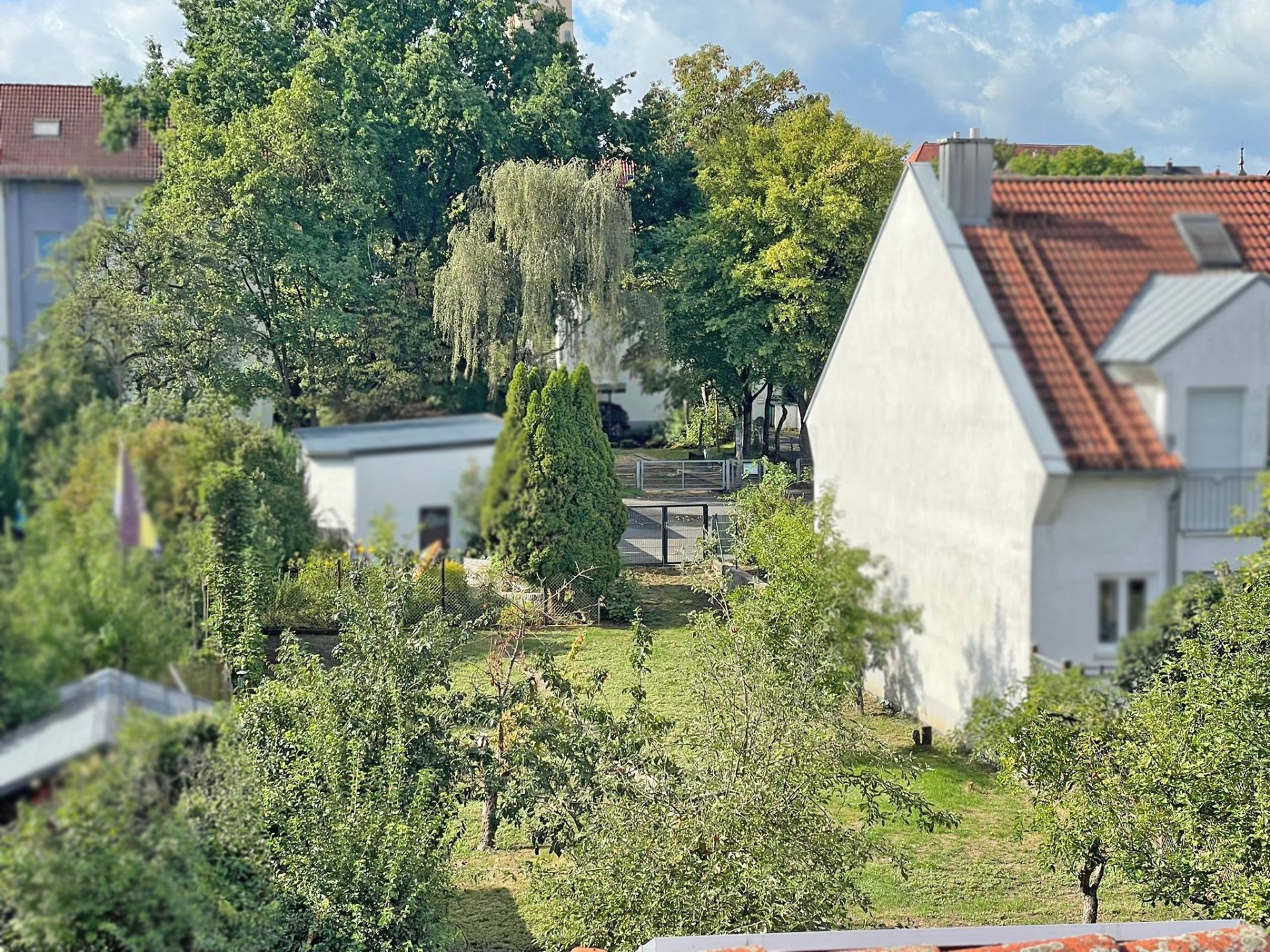 Garten mit Bäumen und Sträuchern neben weißem Wohnhaus mit rotem Dach.