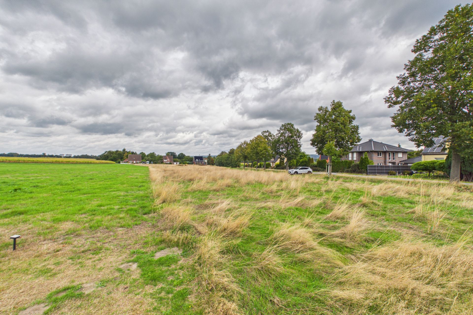 Grünes Feld mit langem Gras, Bäumen und einigen Häusern im Hintergrund unter bewölktem Himmel.