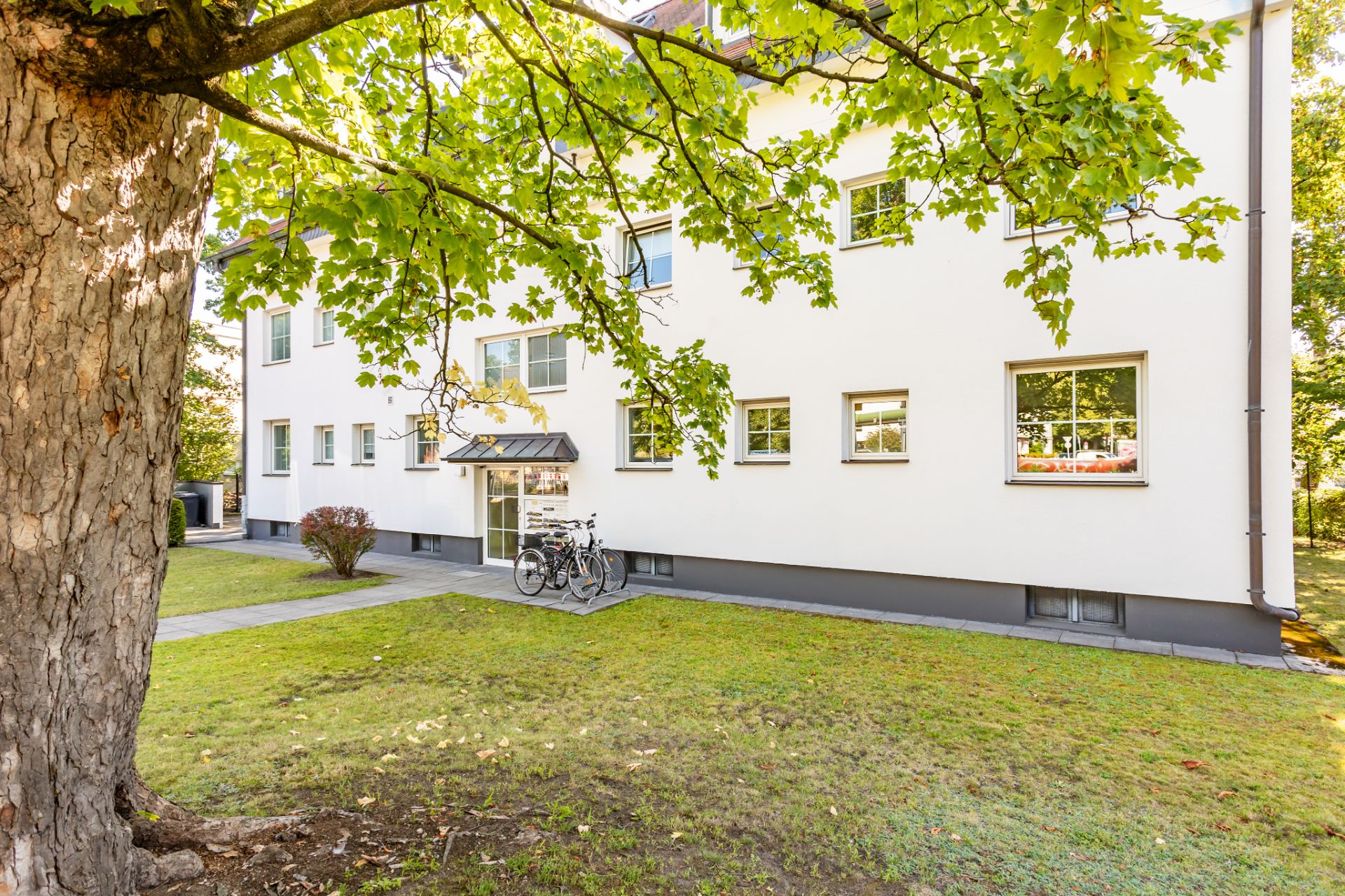 Mehrfamilienhaus mit weißen Fassaden, mehreren Fenstern und Fahrrädern am Eingang, Baum im Vordergrund.