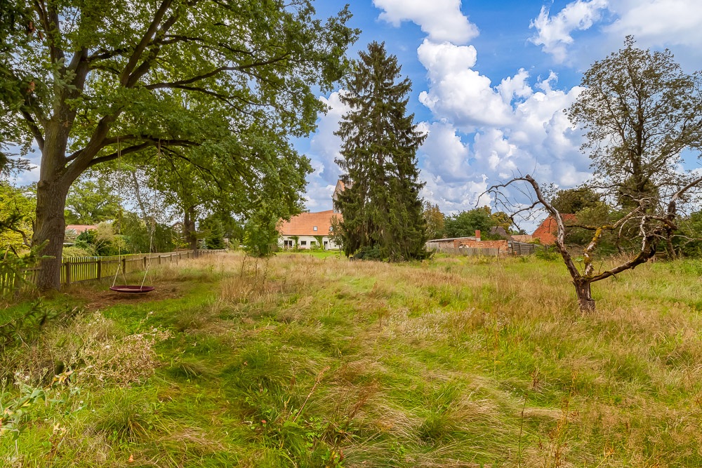 Großer, grasbewachsener Garten mit Schaukel, Bäumen und Blick auf ein Wohnhaus im Hintergrund.