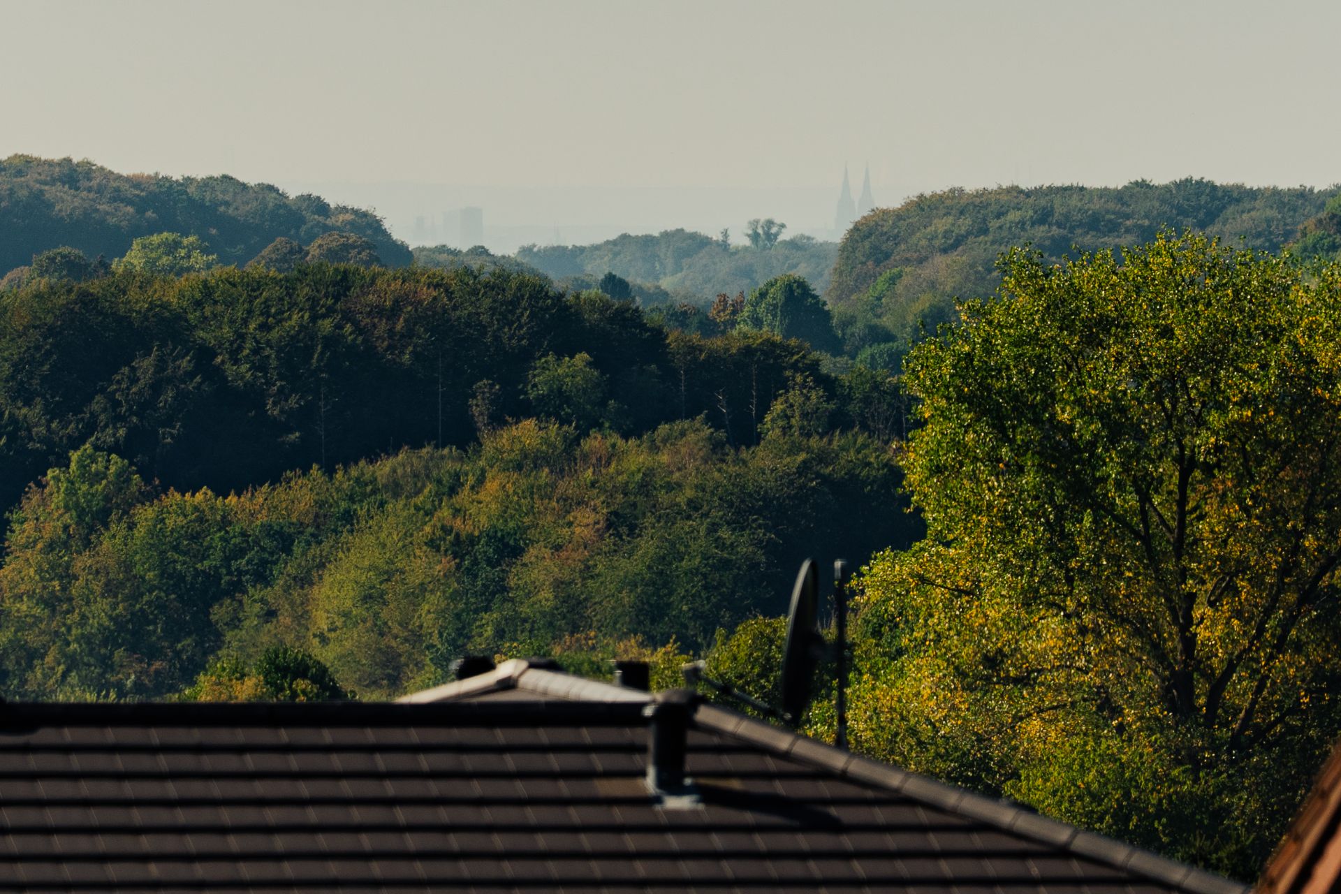 Blick über ein Dach hinweg auf einen hügeligen, bewaldeten Landschaft mit vielen Bäumen.