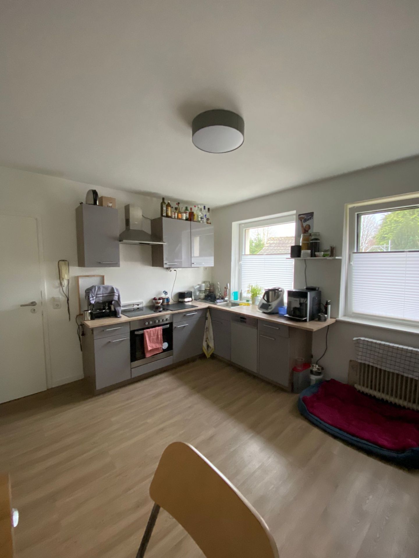 Moderne Küche mit grauen Schränken, zwei Fenstern und Hundebett auf Holzfußboden.