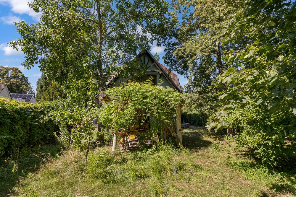 Kleines Haus im Garten, umgeben von Bäumen und dichter Vegetation.