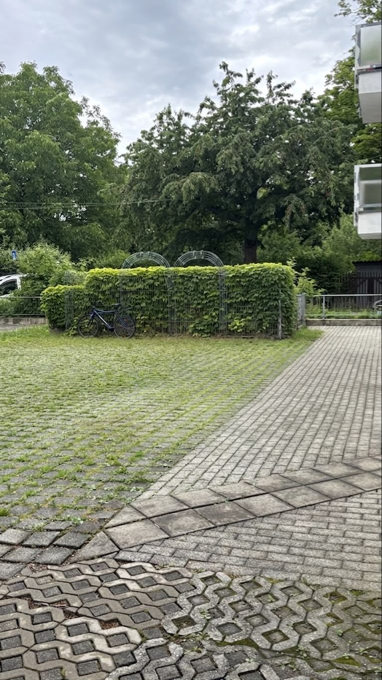 Gepflasterter Hof mit Gras, Hecke, Fahrrad und Bäumen im Hintergrund.