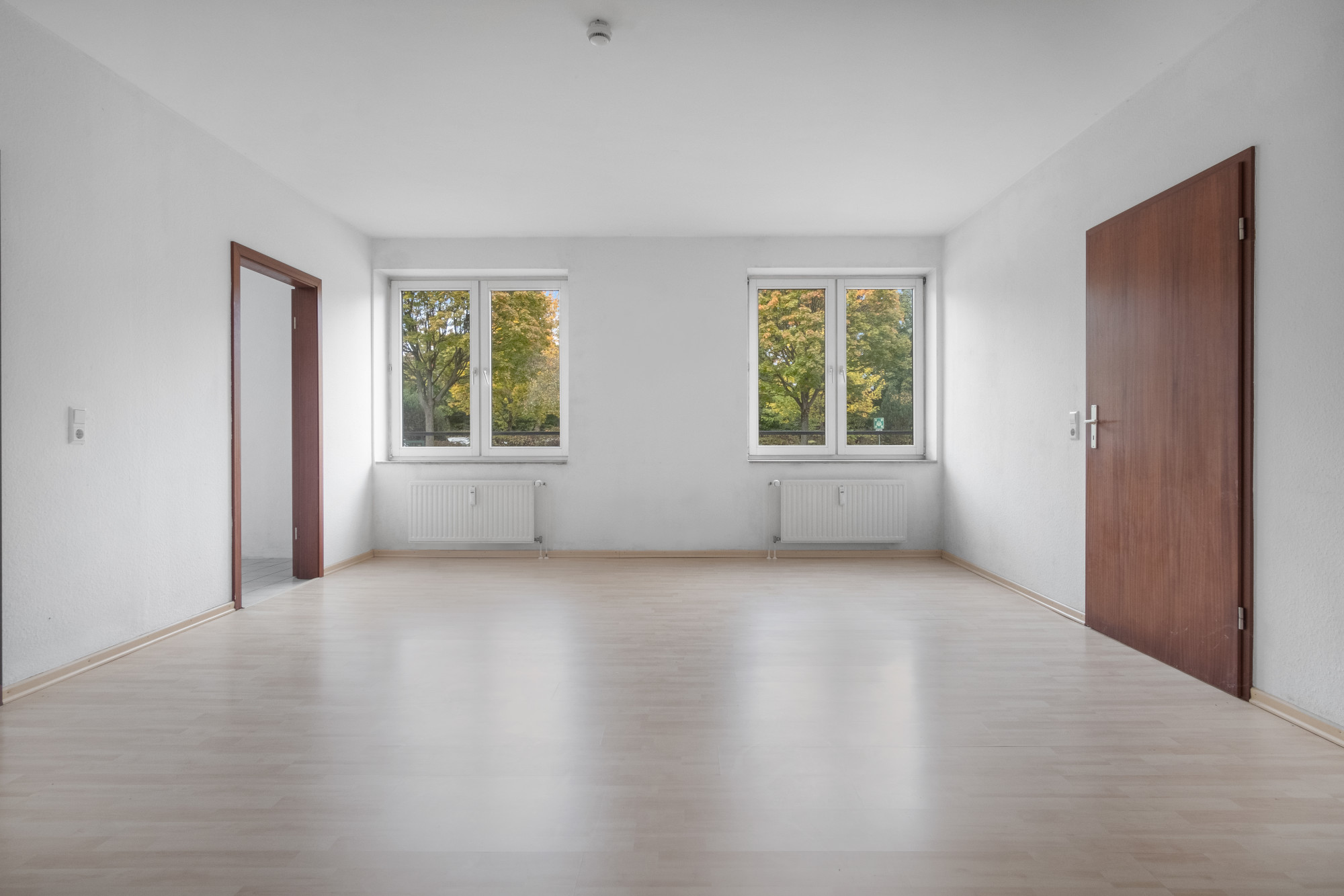 Leerer, heller Raum mit zwei Fenstern, Holztür und hellem Laminatboden.