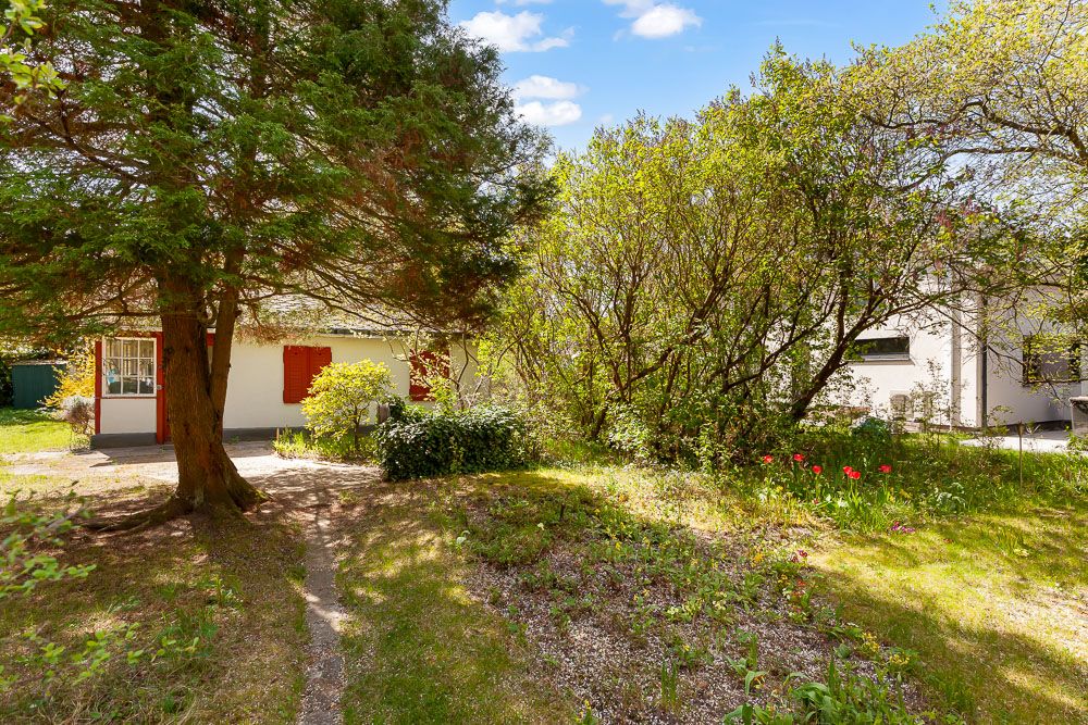 Garten mit Bäumen und Büschen, links ein Haus mit roten Fensterläden.