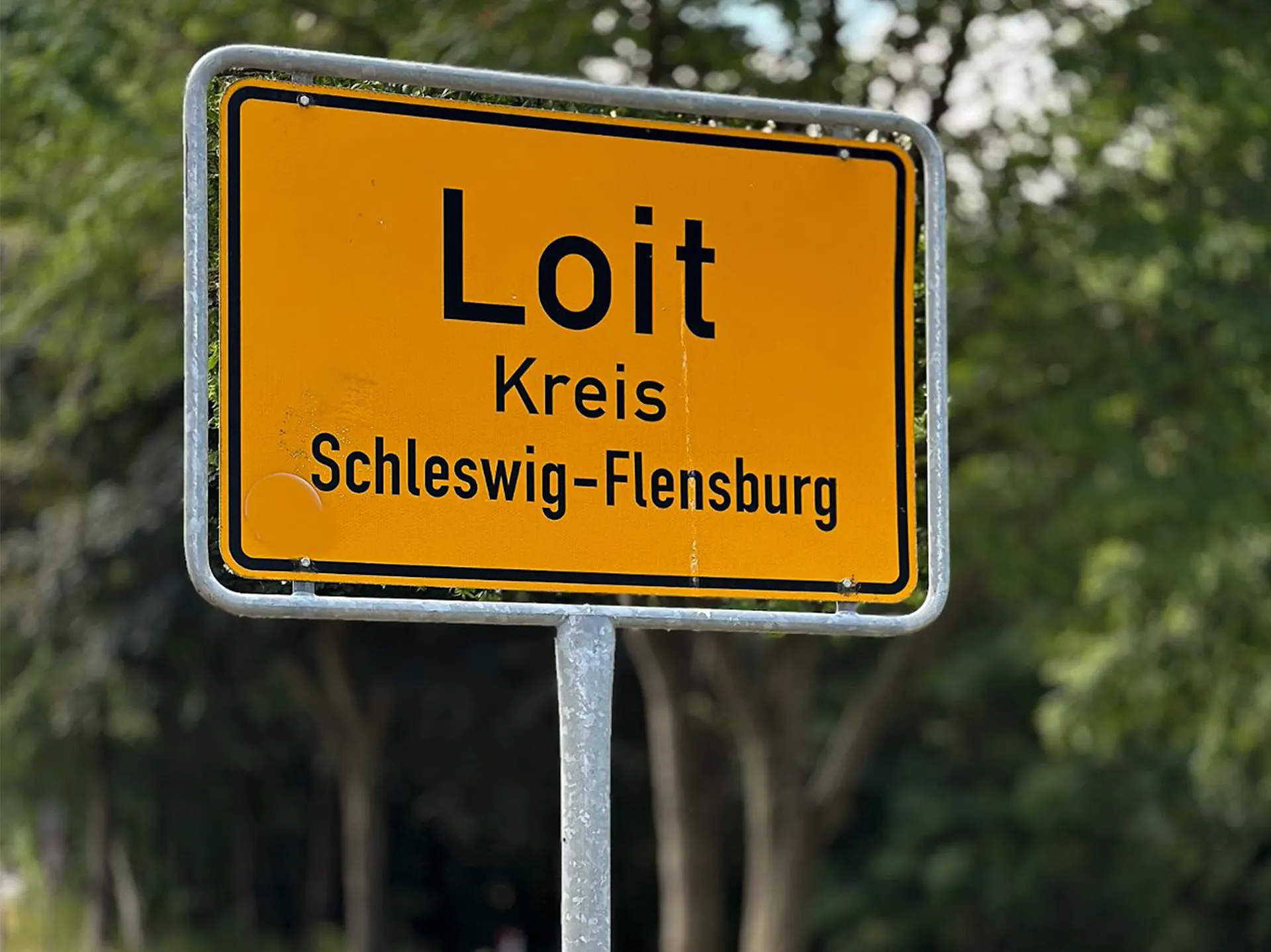 Ortseingangsschild von Loit im Kreis Schleswig-Flensburg, gelbes Schild mit schwarzer Schrift.