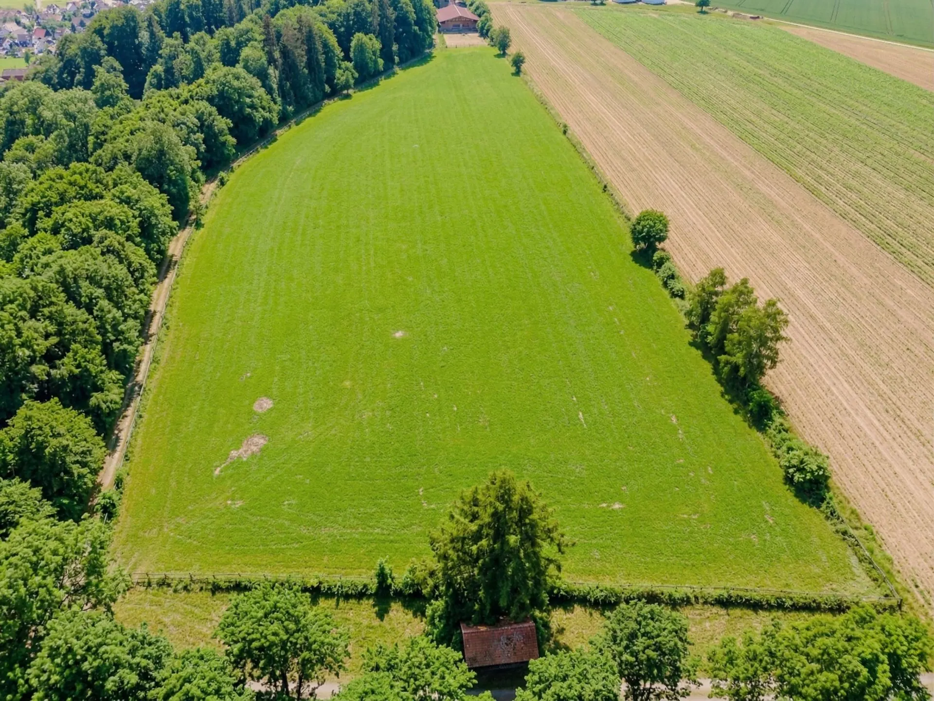 Luftaufnahme einer großen rechteckigen Wiese, umgeben von Bäumen und Feldern.