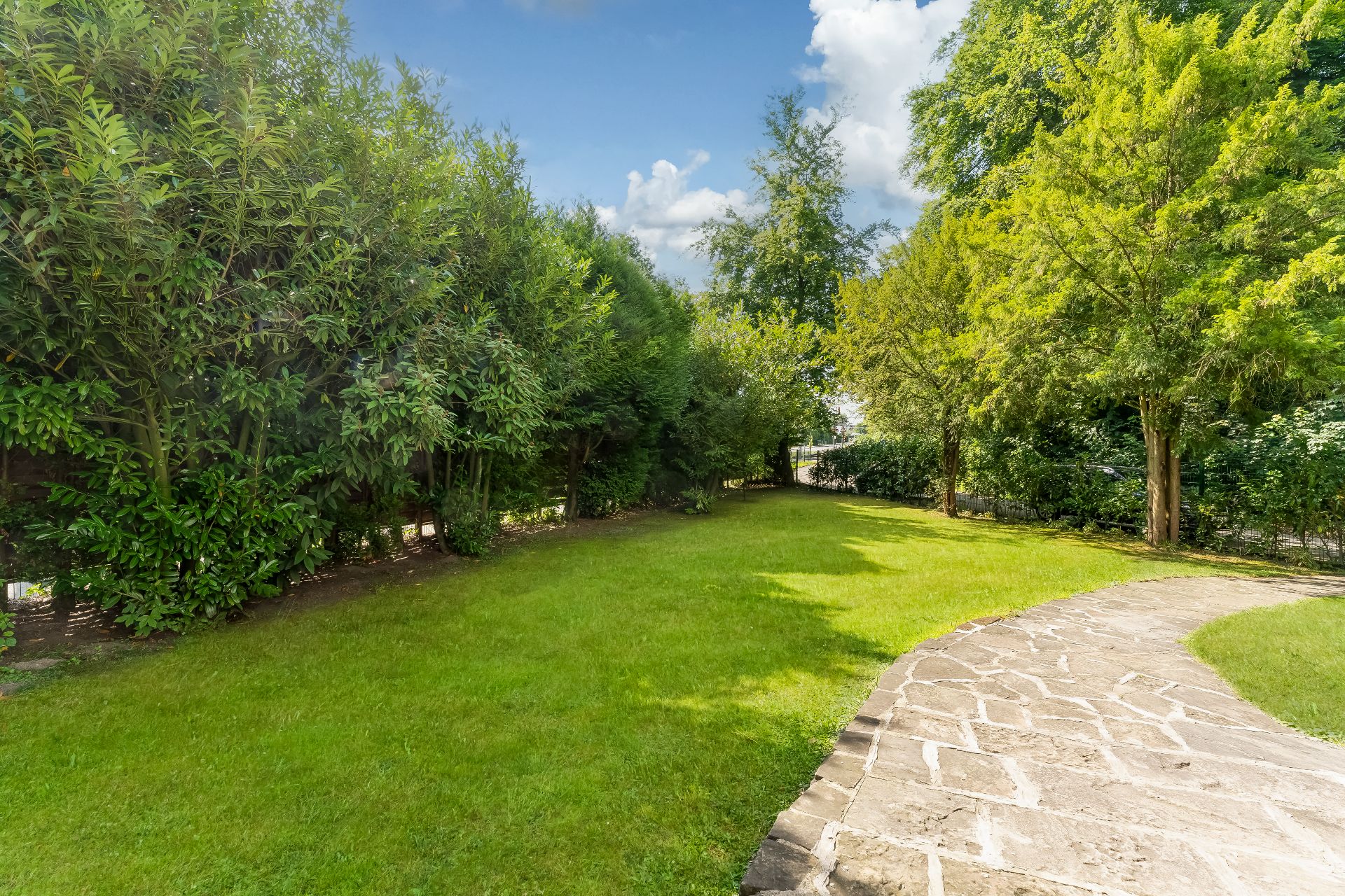 Grüner Garten mit Rasenfläche, Bäumen und gepflastertem Weg bei sonnigem Wetter.
