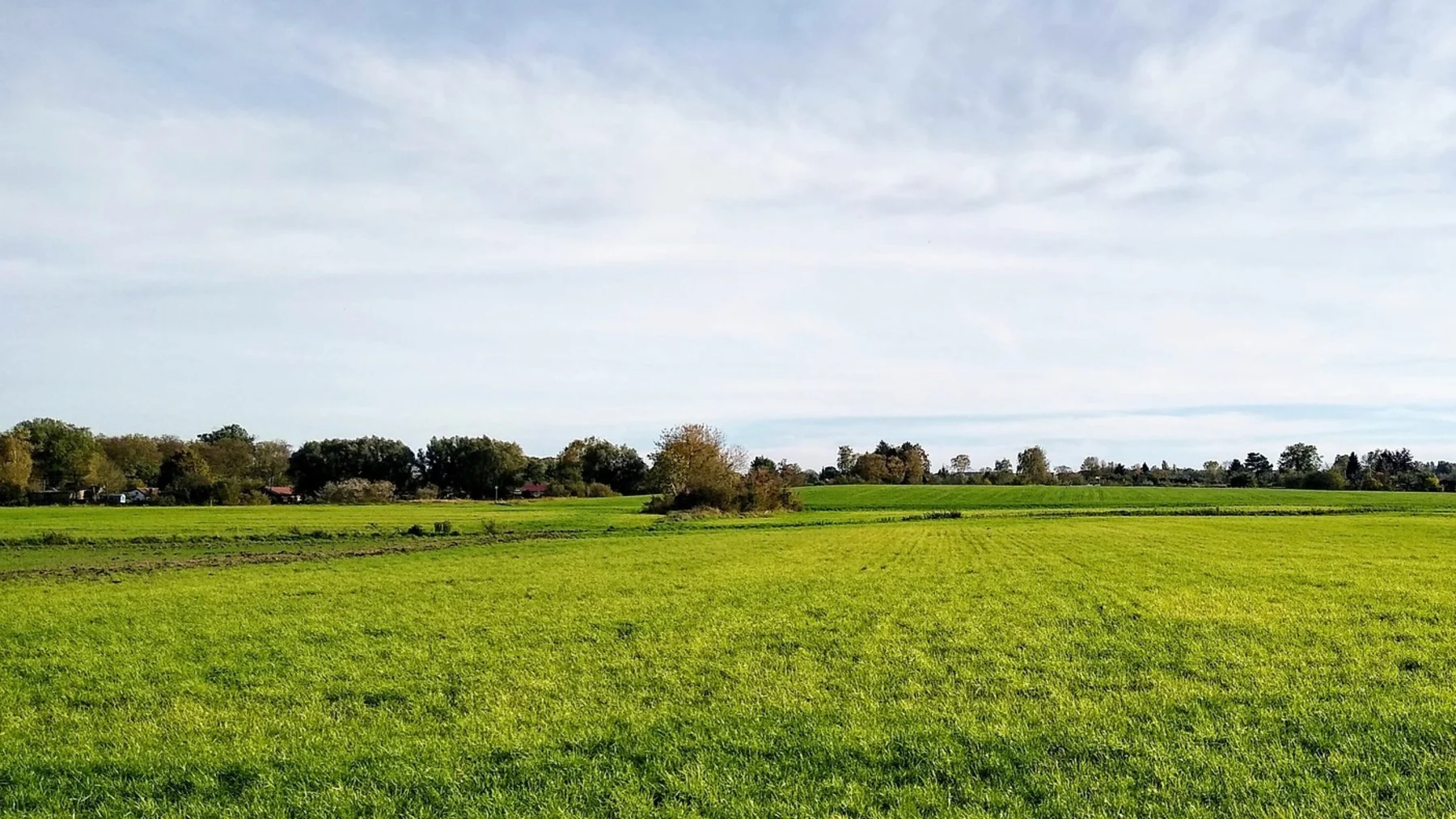 Grüne Wiese mit Bäumen und Häusern im Hintergrund unter blauem Himmel.