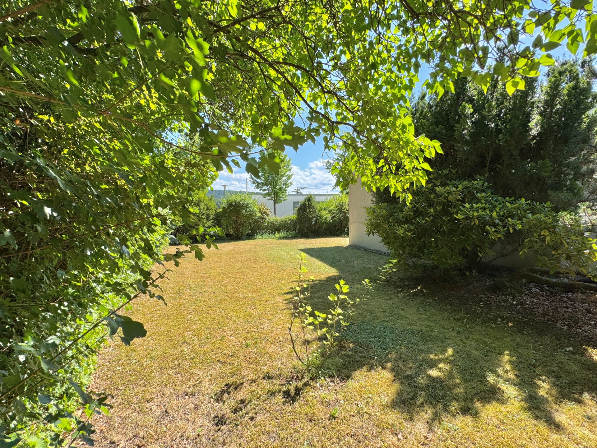 Grüner Garten mit Rasen, Büschen und Bäumen bei sonnigem Wetter.