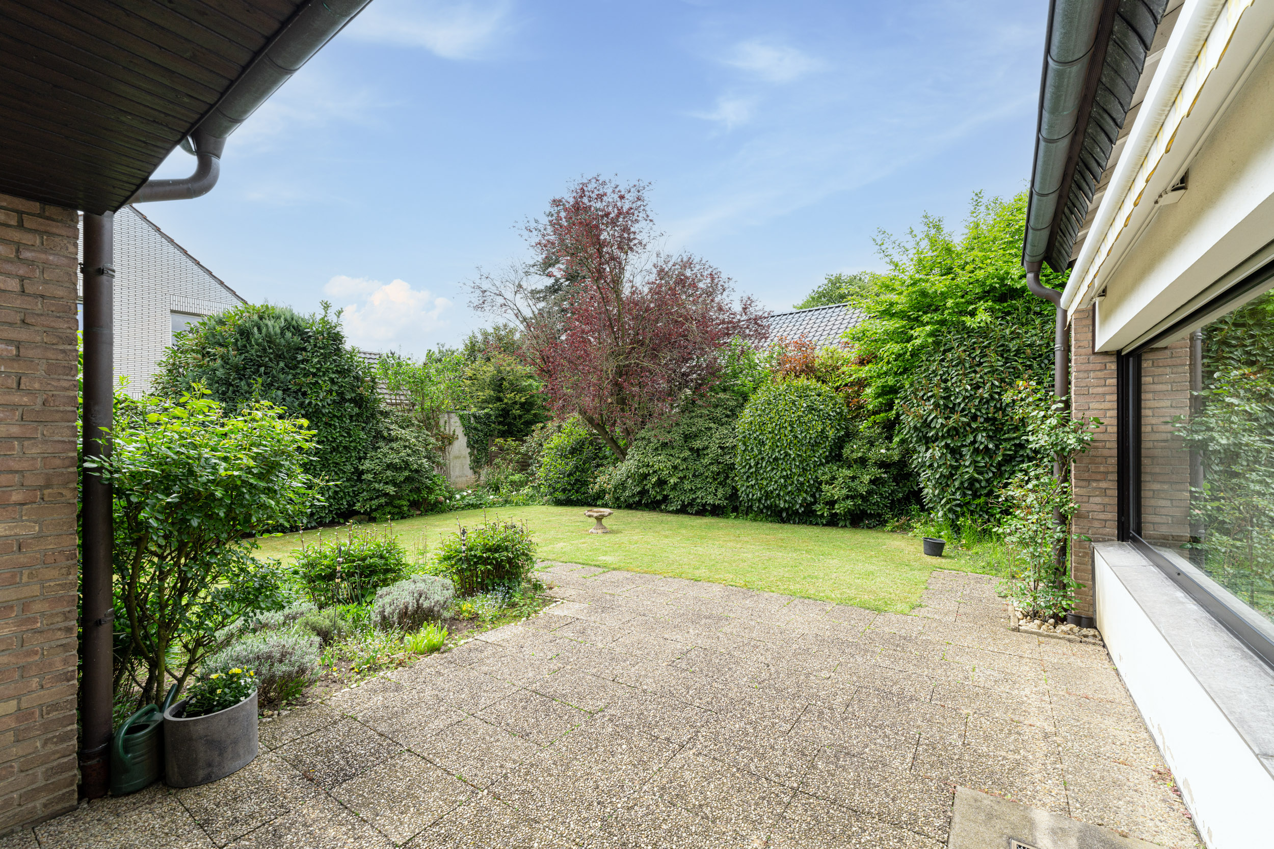 Gepflasterte Terrasse mit angrenzendem Rasen, umgeben von Büschen und Bäumen im Garten.