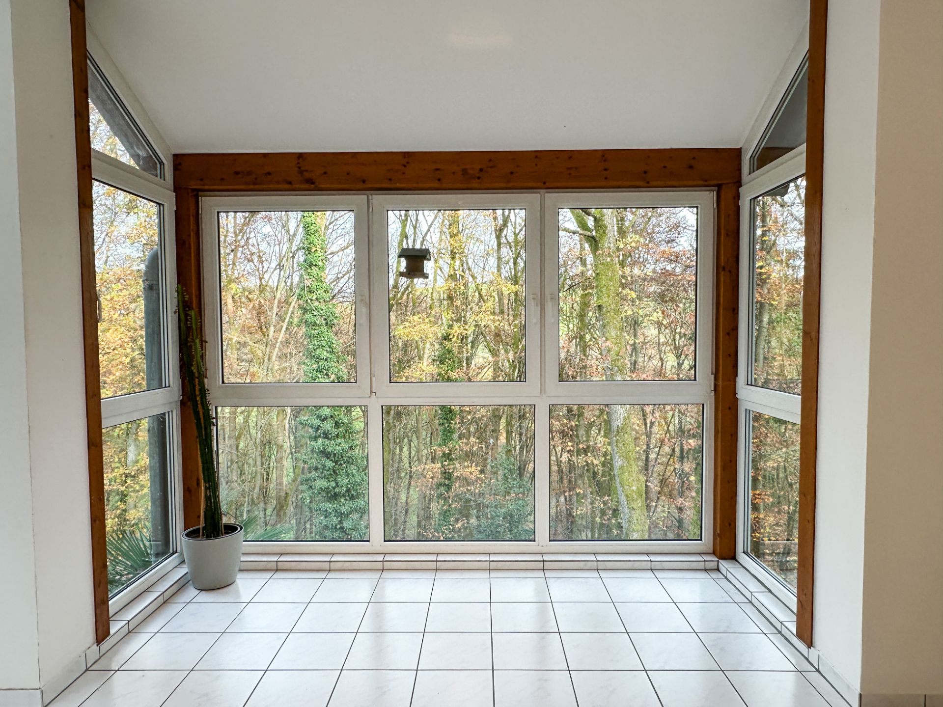 Heller Raum mit großen Fenstern, weißem Fliesenboden und einem Blumentopf in der Ecke.