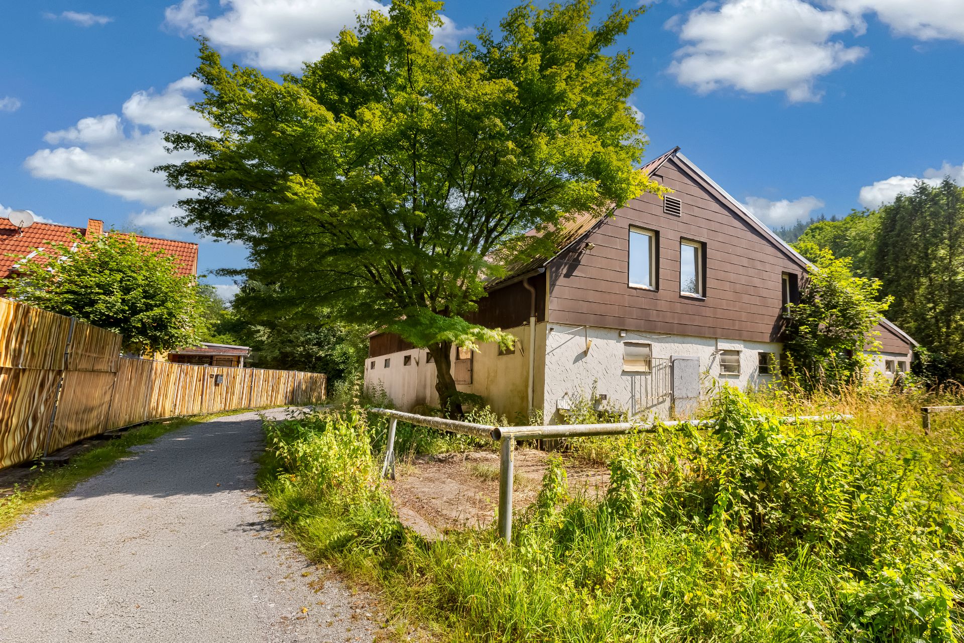 Einfamilienhaus mit Garten und großem Baum an einer kleinen Straße bei sonnigem Wetter.