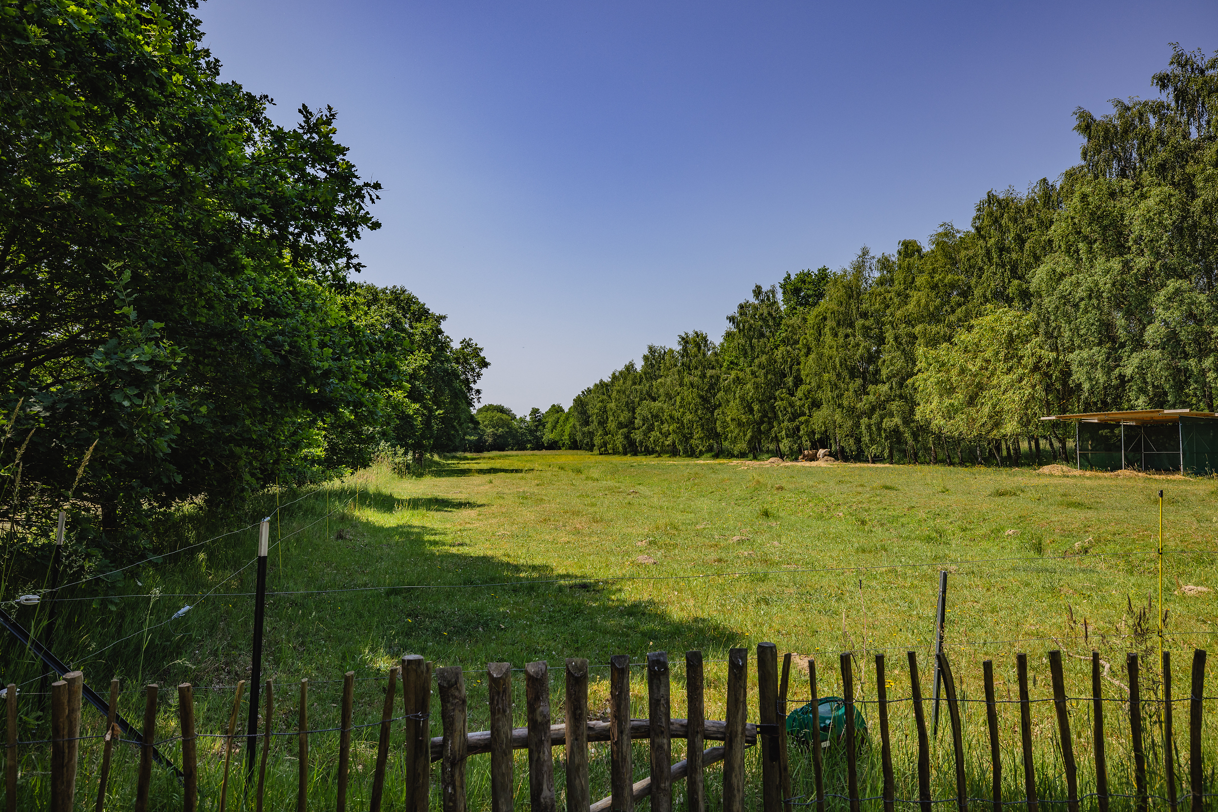 Grüne Wiese mit Holzzaun im Vordergrund und Bäumen im Hintergrund unter blauem Himmel.