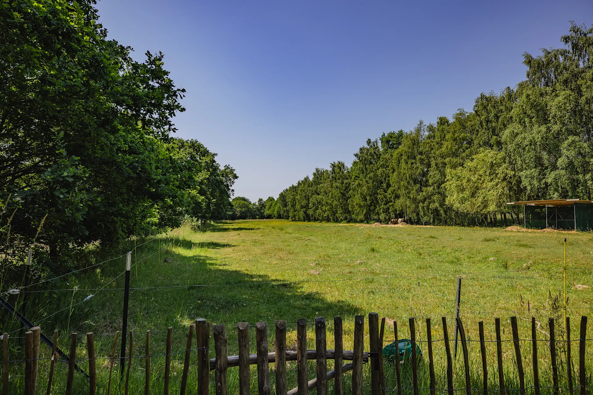 Grüne Wiese mit Holzzaun im Vordergrund und Bäumen im Hintergrund unter blauem Himmel.