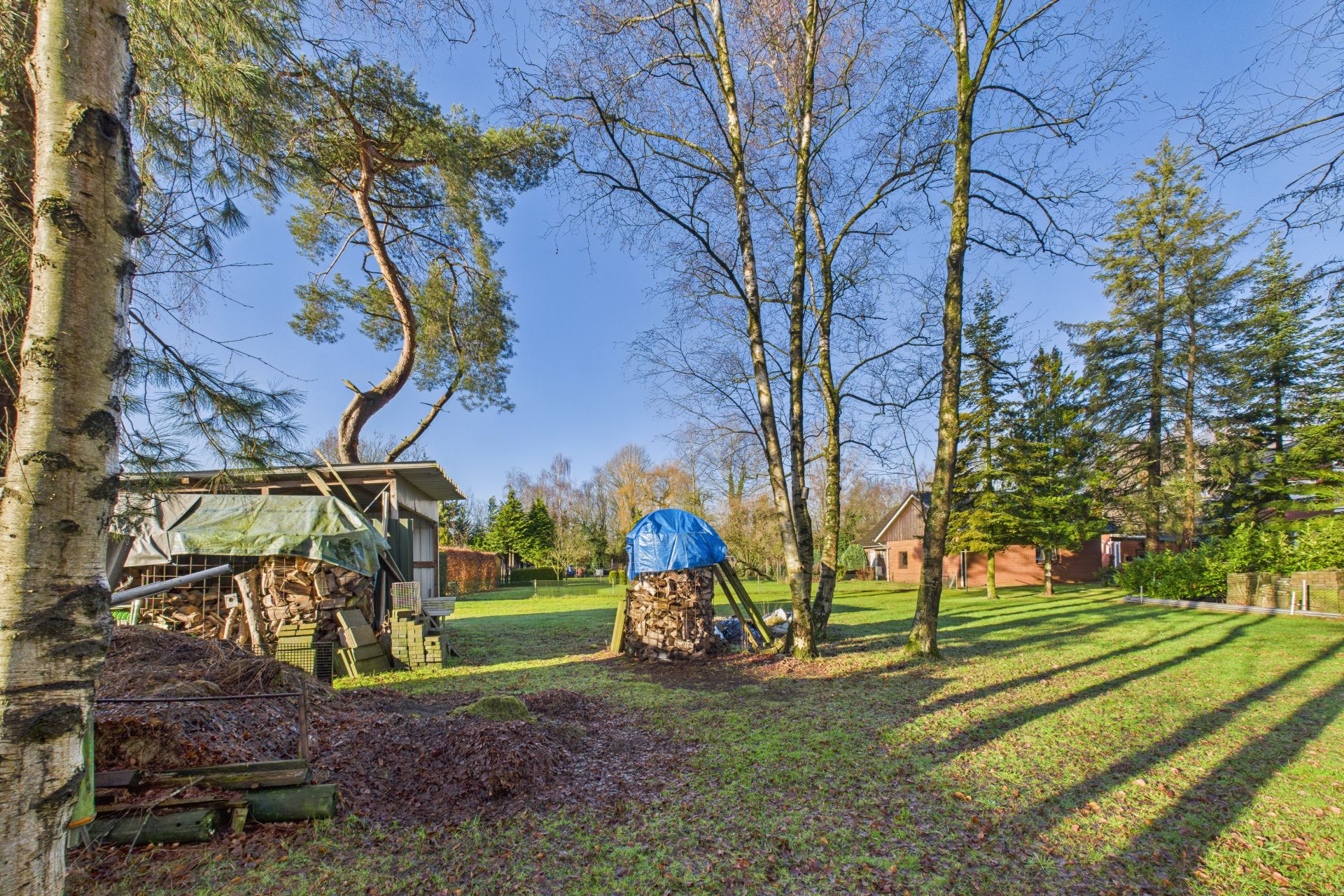 Großer Garten mit Bäumen, Holzstapel und Rasen, im Hintergrund ein Haus.