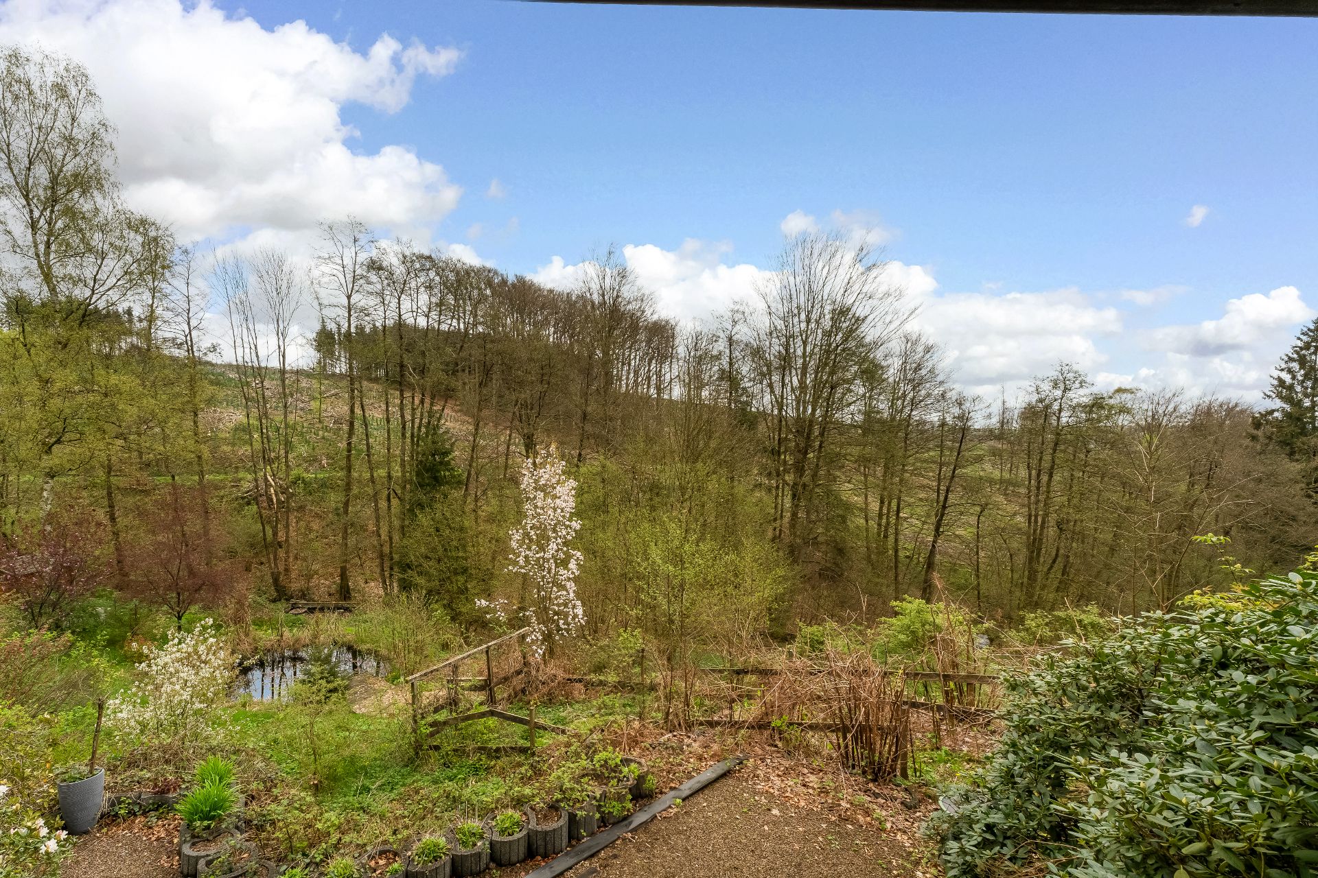 Blick auf einen Garten mit Teich und angrenzendem Wald unter blauem Himmel.