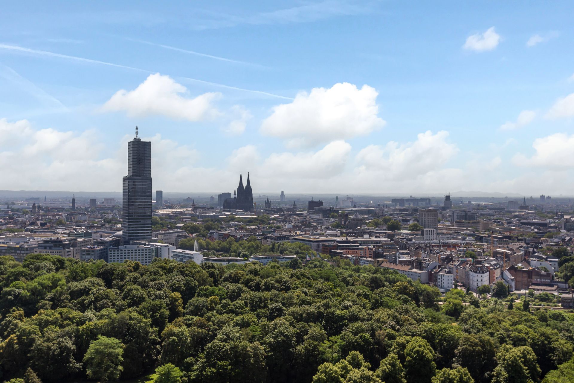 Blick auf eine Stadt mit vielen Bäumen im Vordergrund und Hochhaus im Hintergrund.