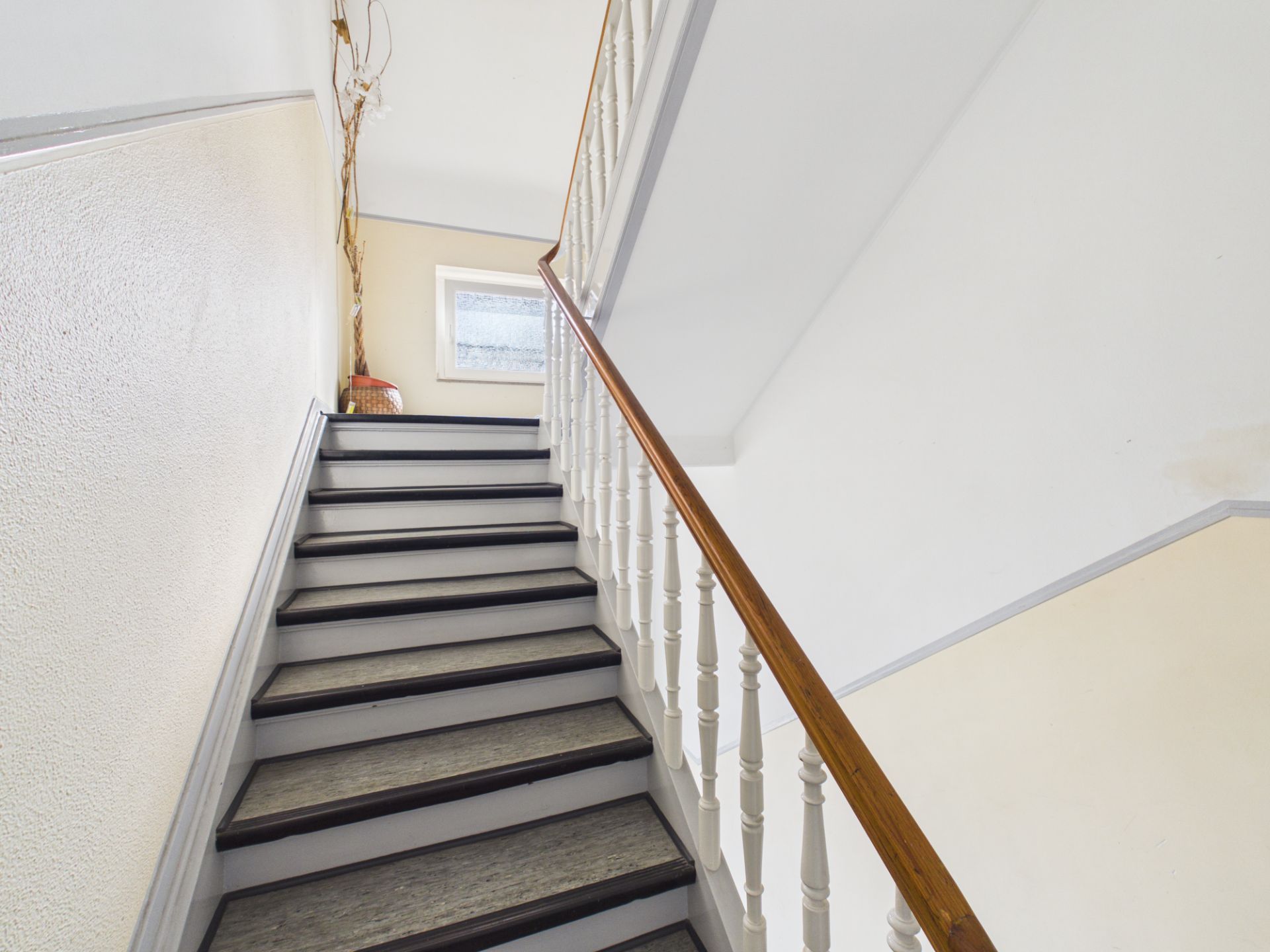 Treppe mit weißem Geländer und Holzhandlauf, ein Fenster und eine Pflanze im Hintergrund.