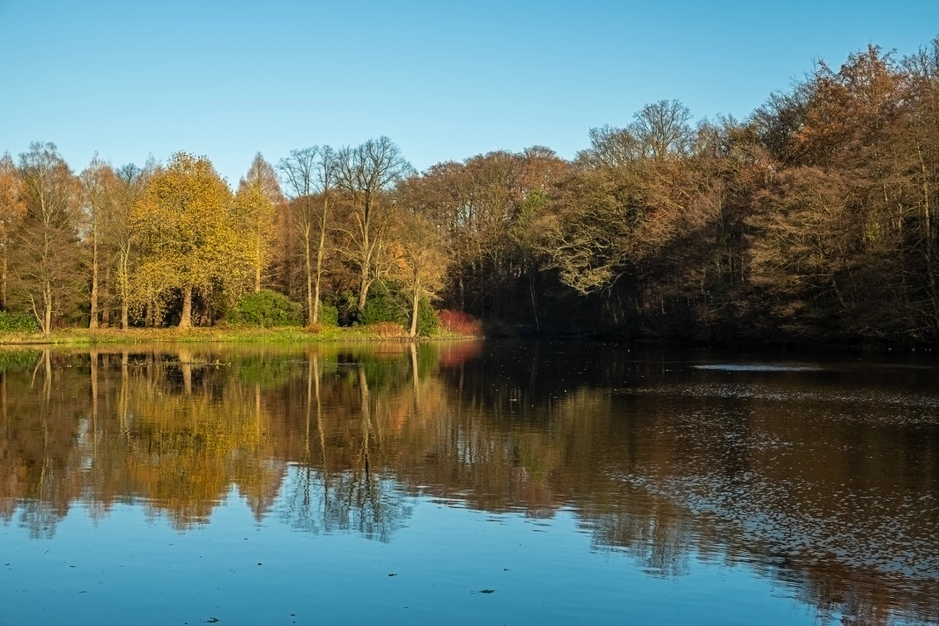 Hamburg Poppenbüttel Alster bei der Poppenbüttler Schleuse, copyright:AndreasKreutzer