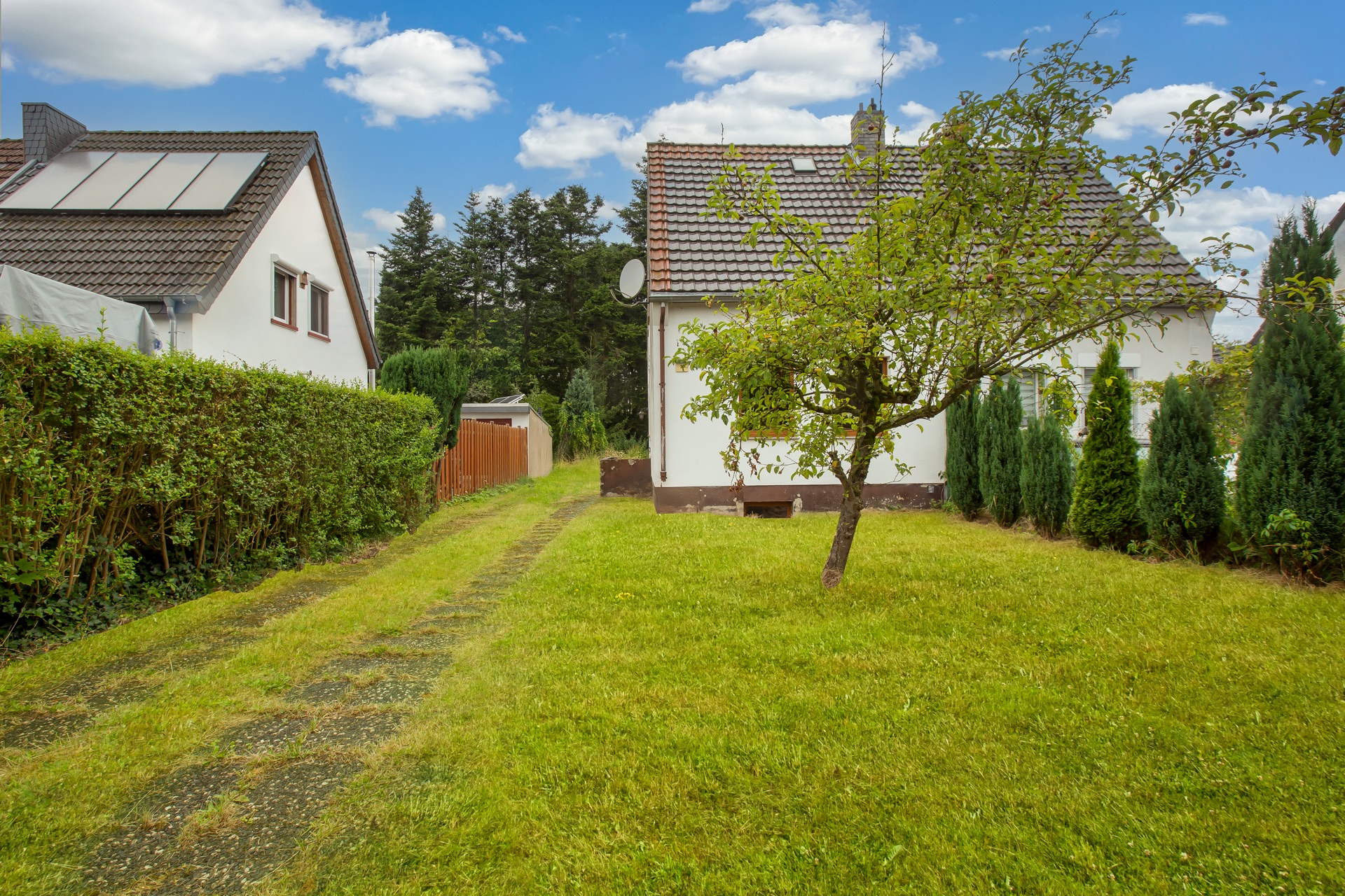 Grüner Garten mit Baum, Rasen, Hecke und Haus im Hintergrund unter blauem Himmel.