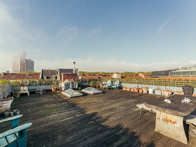 Große Dachterrasse mit Holzboden, Pflanzenkübeln, Sitzbänken und zwei Oberlichtern.